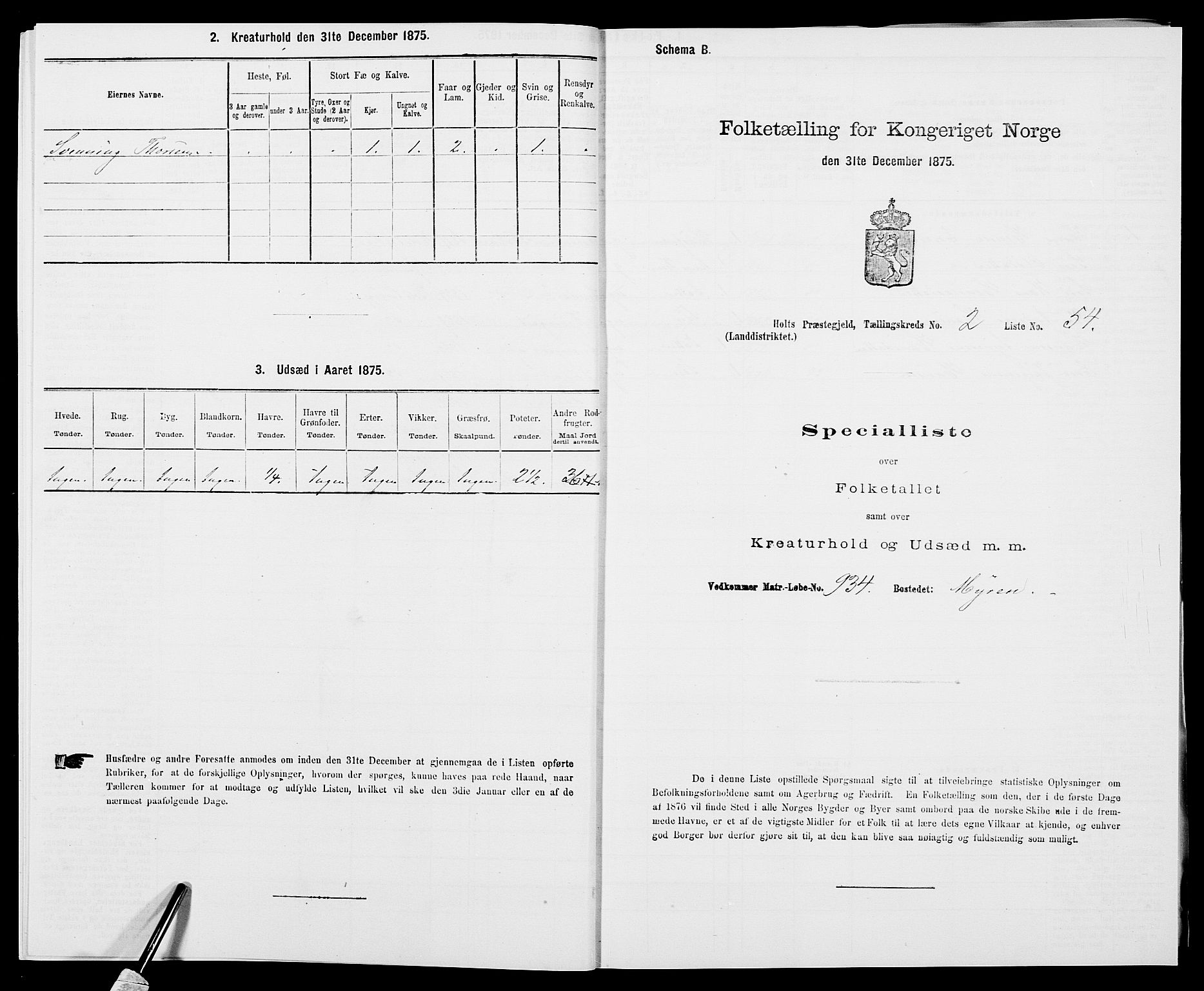 SAK, 1875 census for 0914L Holt/Holt, 1875, p. 303
