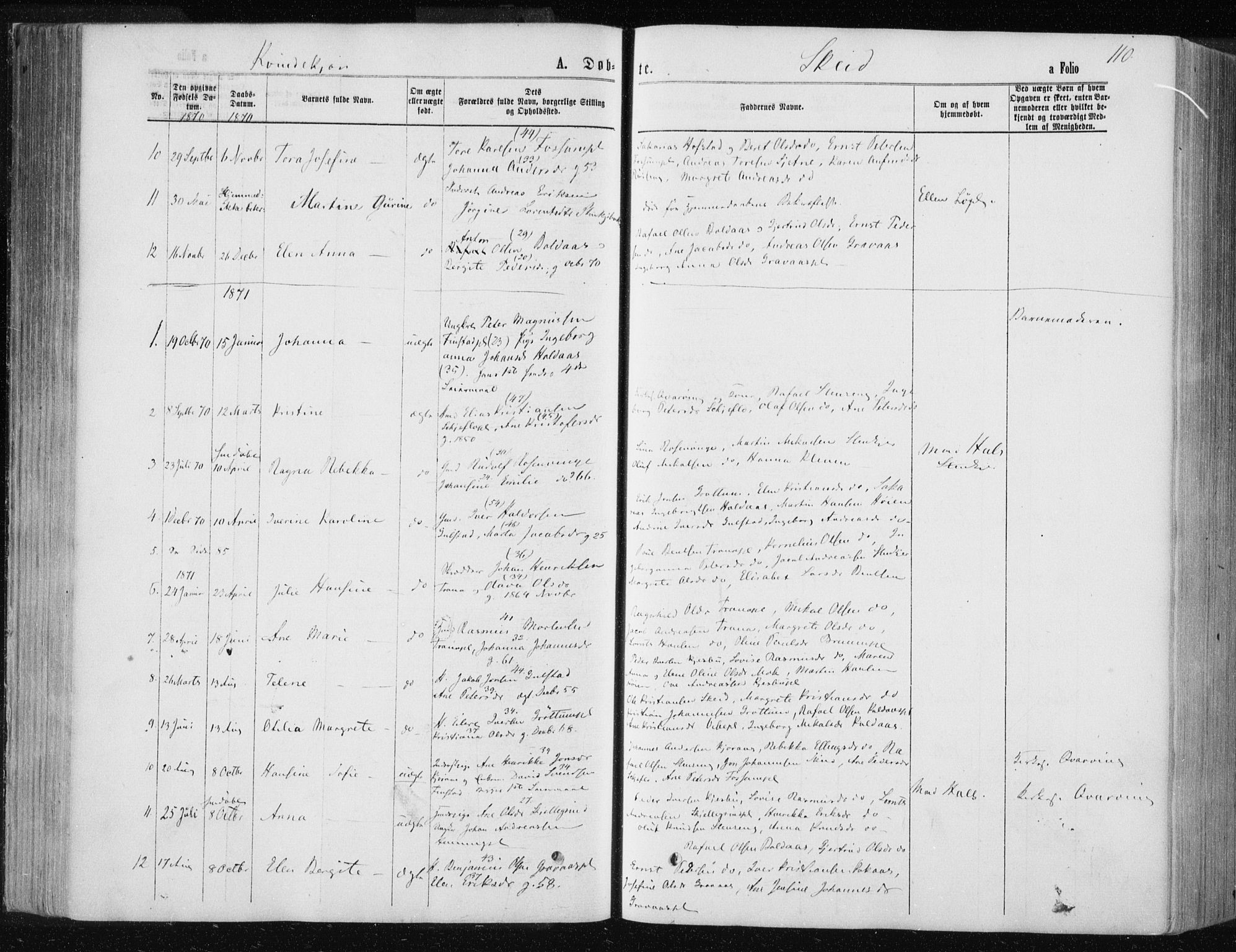 Ministerialprotokoller, klokkerbøker og fødselsregistre - Nord-Trøndelag, AV/SAT-A-1458/735/L0345: Parish register (official) no. 735A08 /2, 1863-1872, p. 110