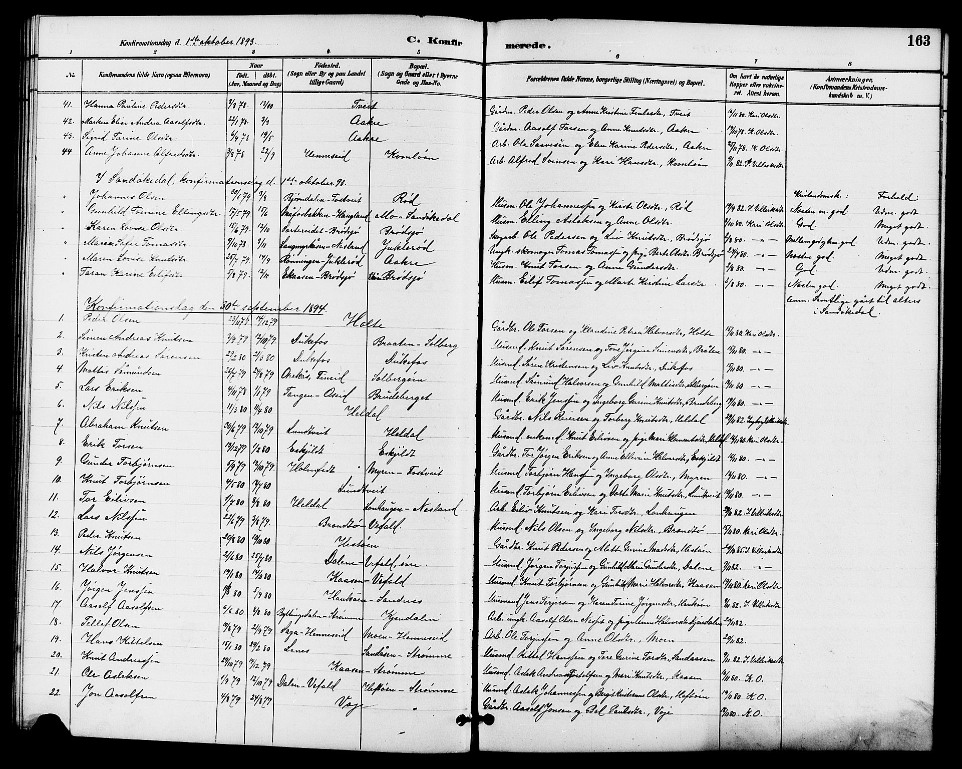 Drangedal kirkebøker, AV/SAKO-A-258/G/Ga/L0003: Parish register (copy) no. I 3, 1887-1906, p. 163