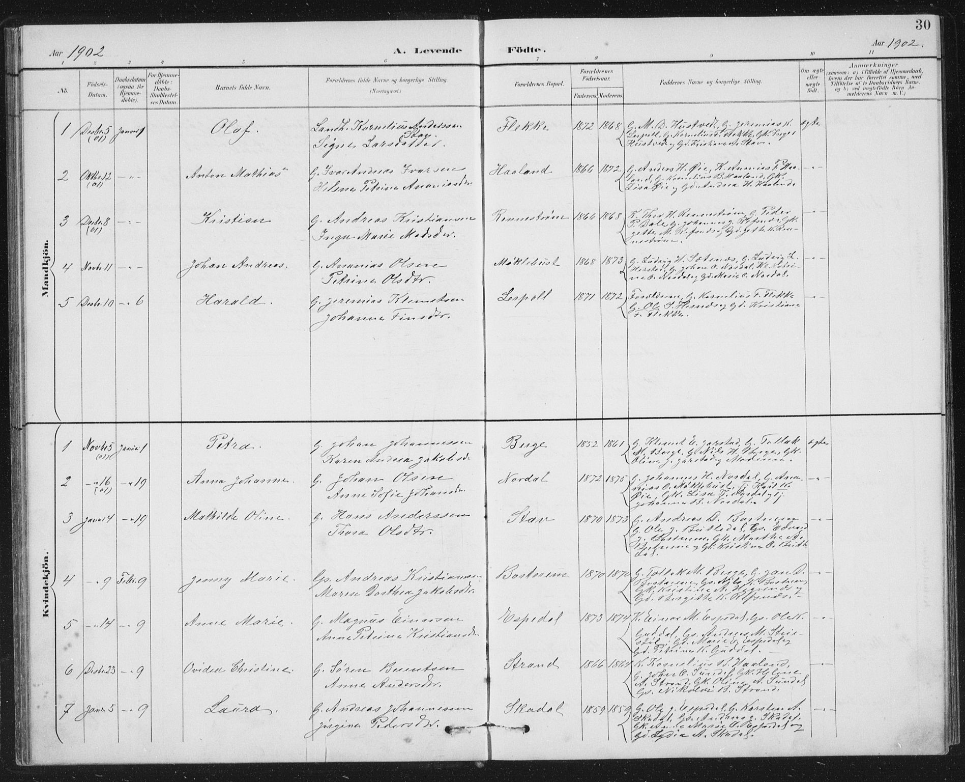 Fjaler sokneprestembete, SAB/A-79801/H/Hab/Habc/L0003: Parish register (copy) no. C 3, 1894-1917, p. 30