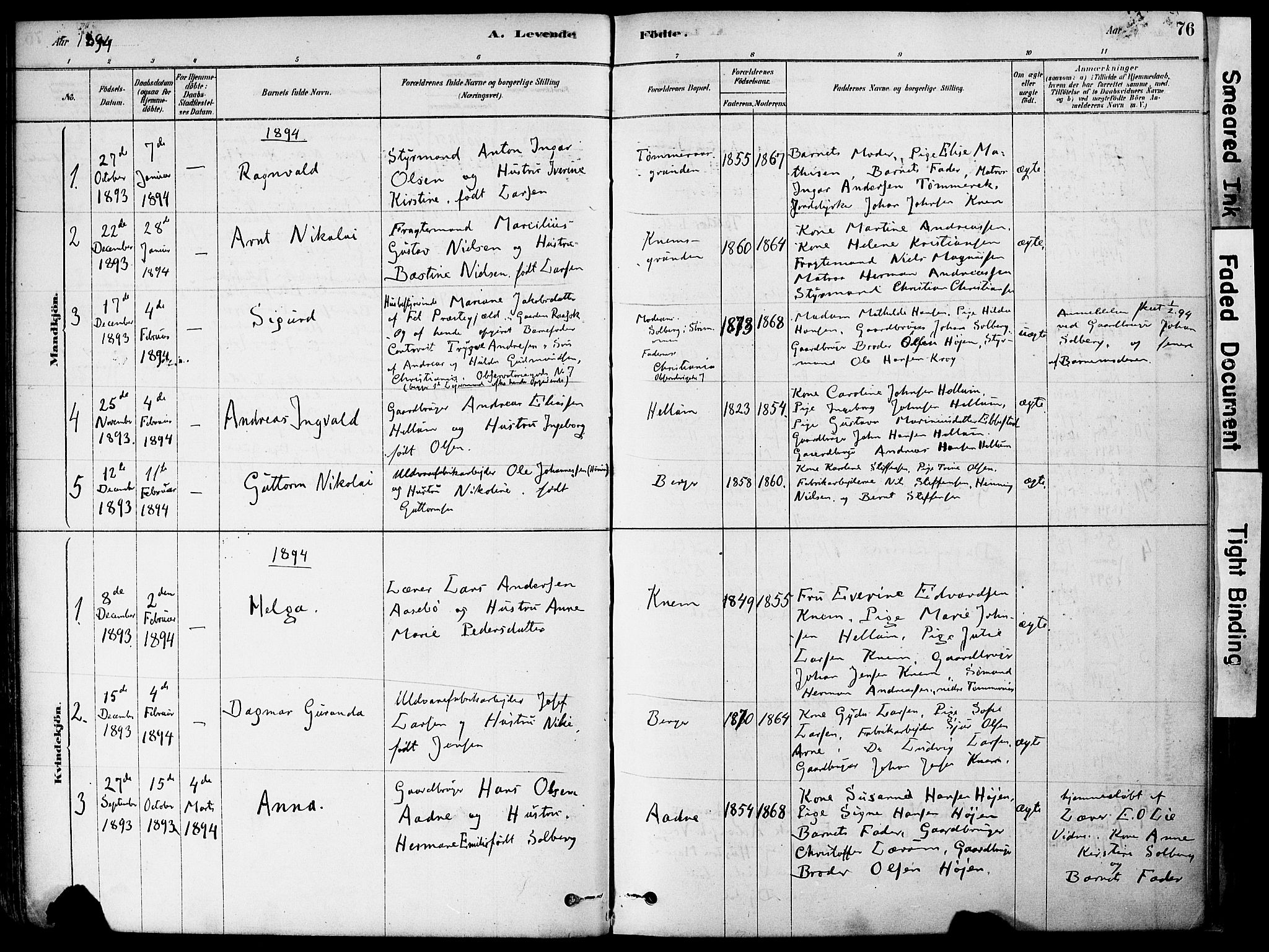 Strømm kirkebøker, AV/SAKO-A-322/F/Fa/L0004: Parish register (official) no. I 4, 1878-1899, p. 76