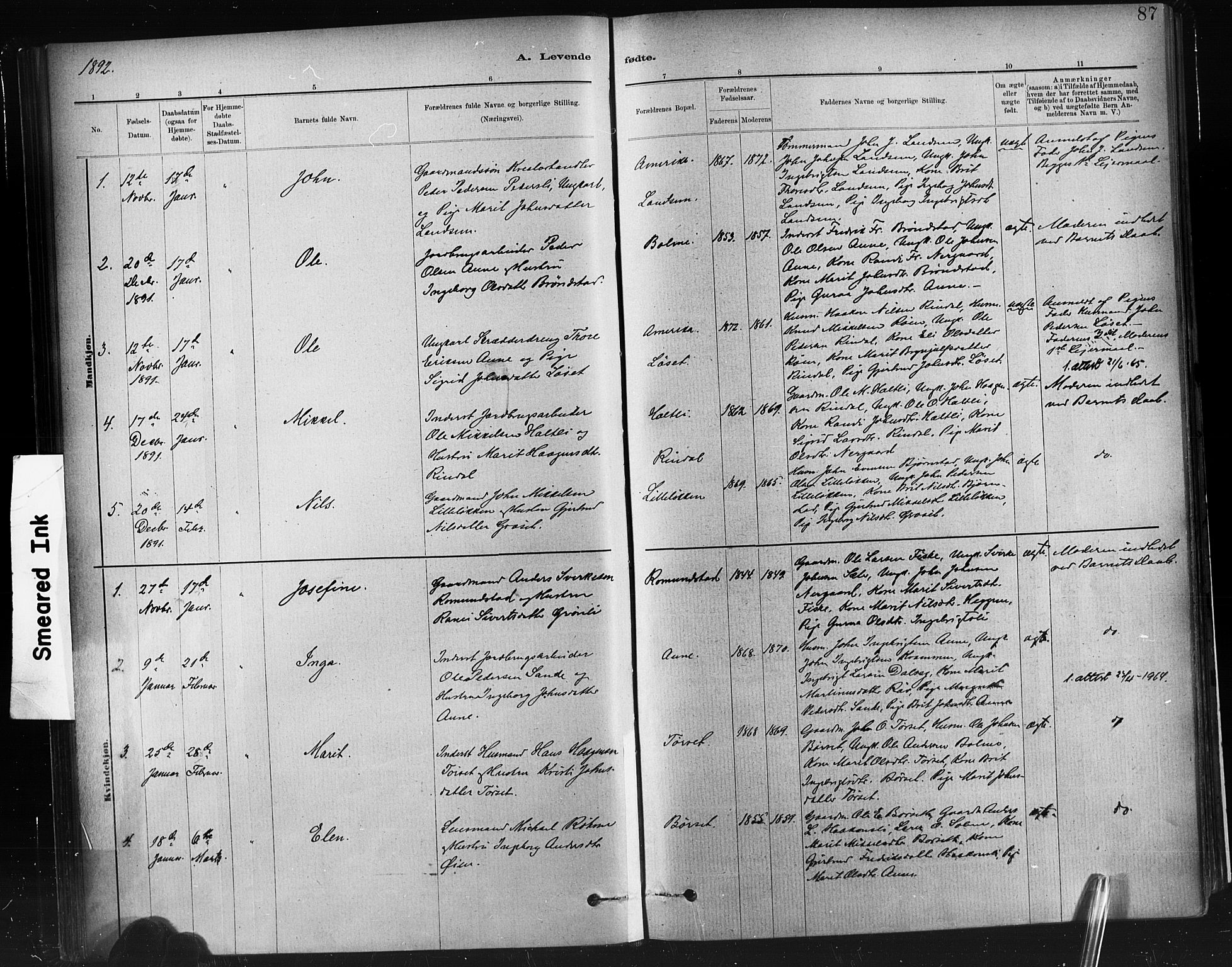 Ministerialprotokoller, klokkerbøker og fødselsregistre - Møre og Romsdal, AV/SAT-A-1454/598/L1069: Parish register (official) no. 598A03, 1882-1895, p. 87