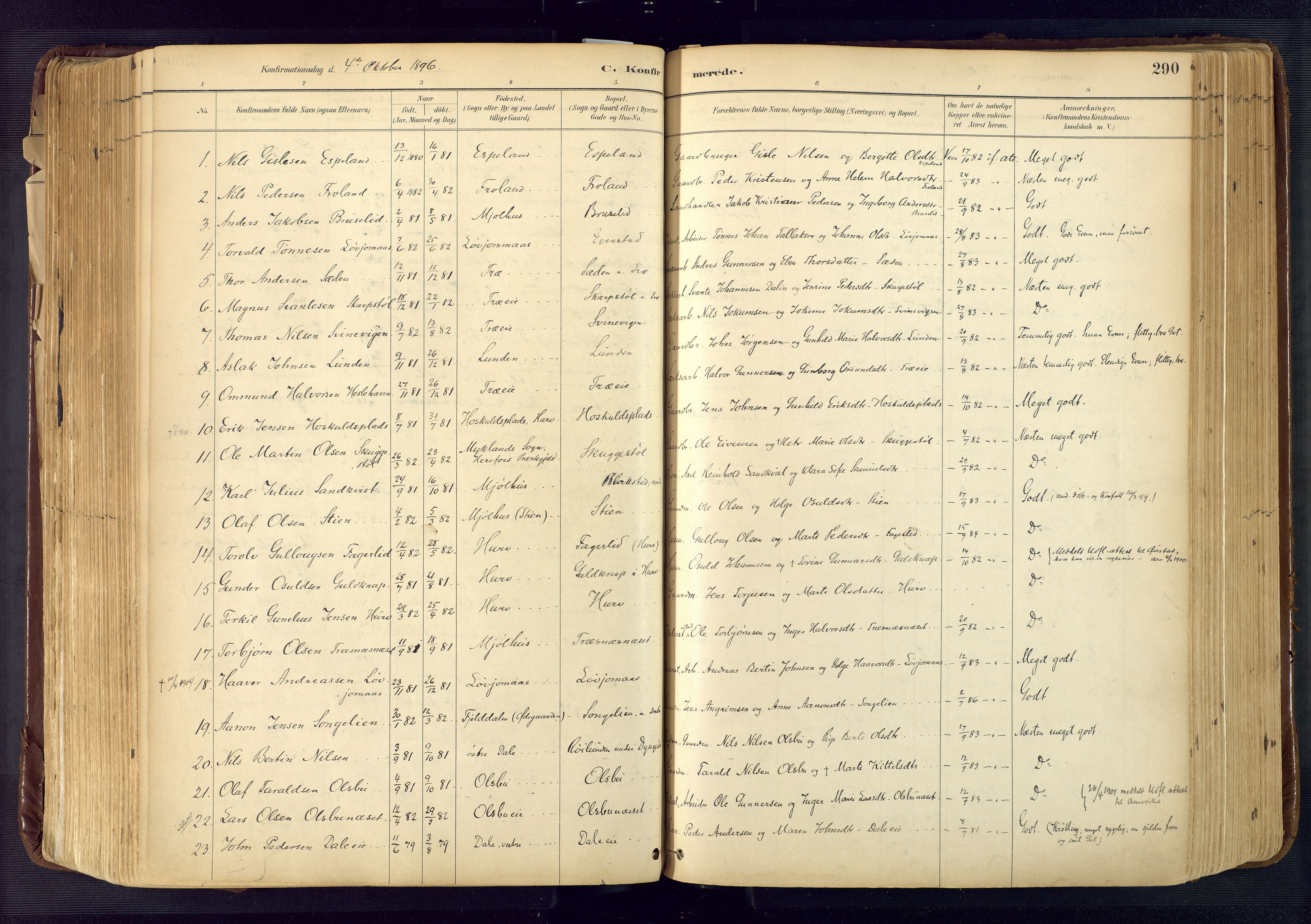 Froland sokneprestkontor, SAK/1111-0013/F/Fa/L0005: Parish register (official) no. A 5, 1882-1921, p. 290
