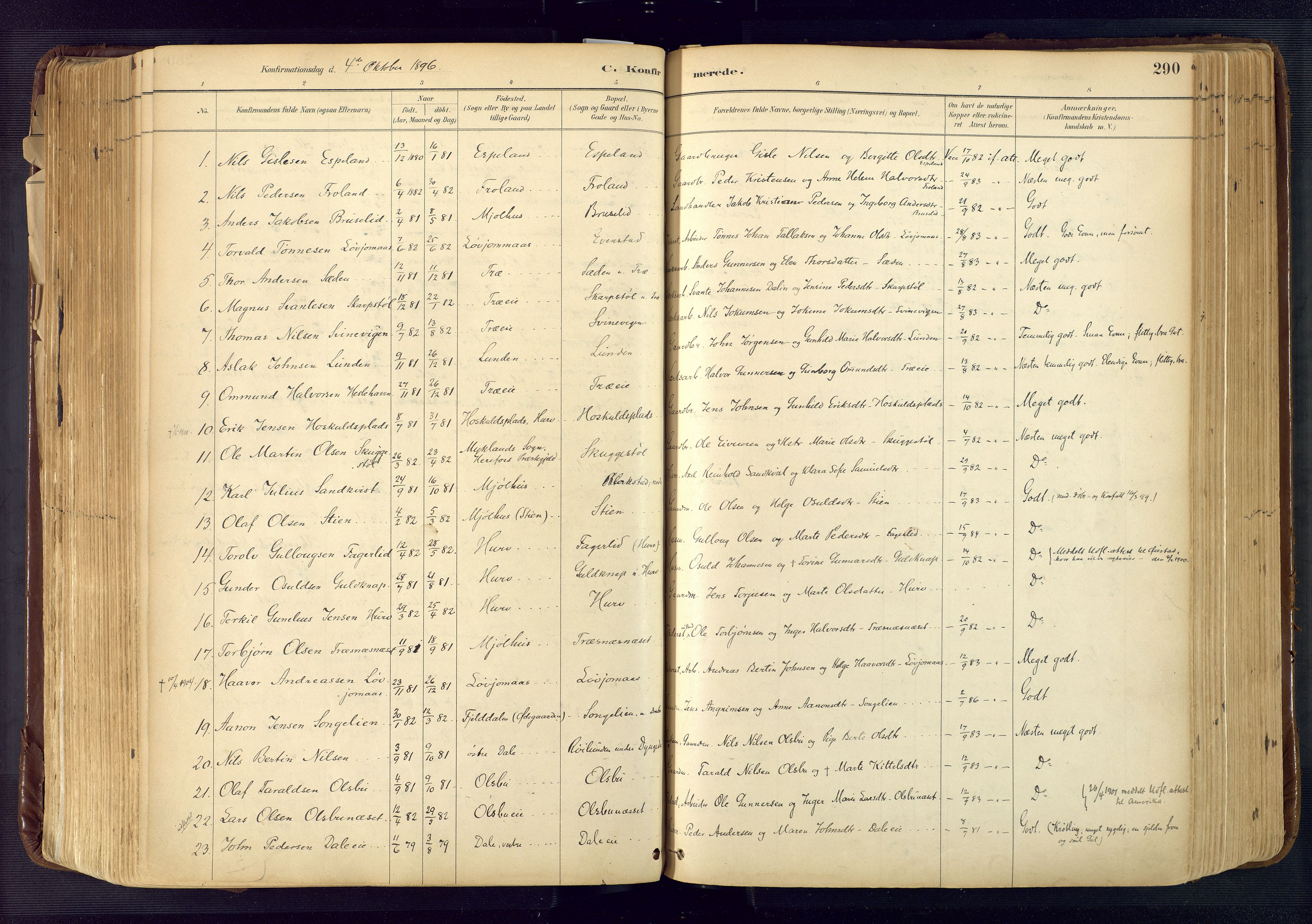Froland sokneprestkontor, AV/SAK-1111-0013/F/Fa/L0005: Parish register (official) no. A 5, 1882-1921, p. 290