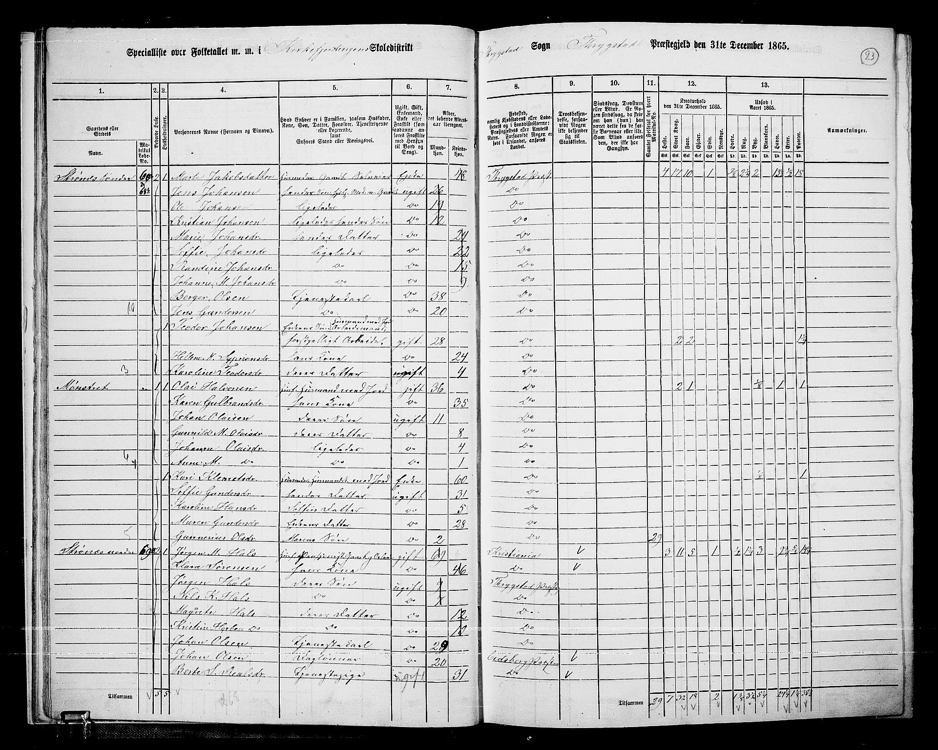 RA, 1865 census for Trøgstad, 1865, p. 22