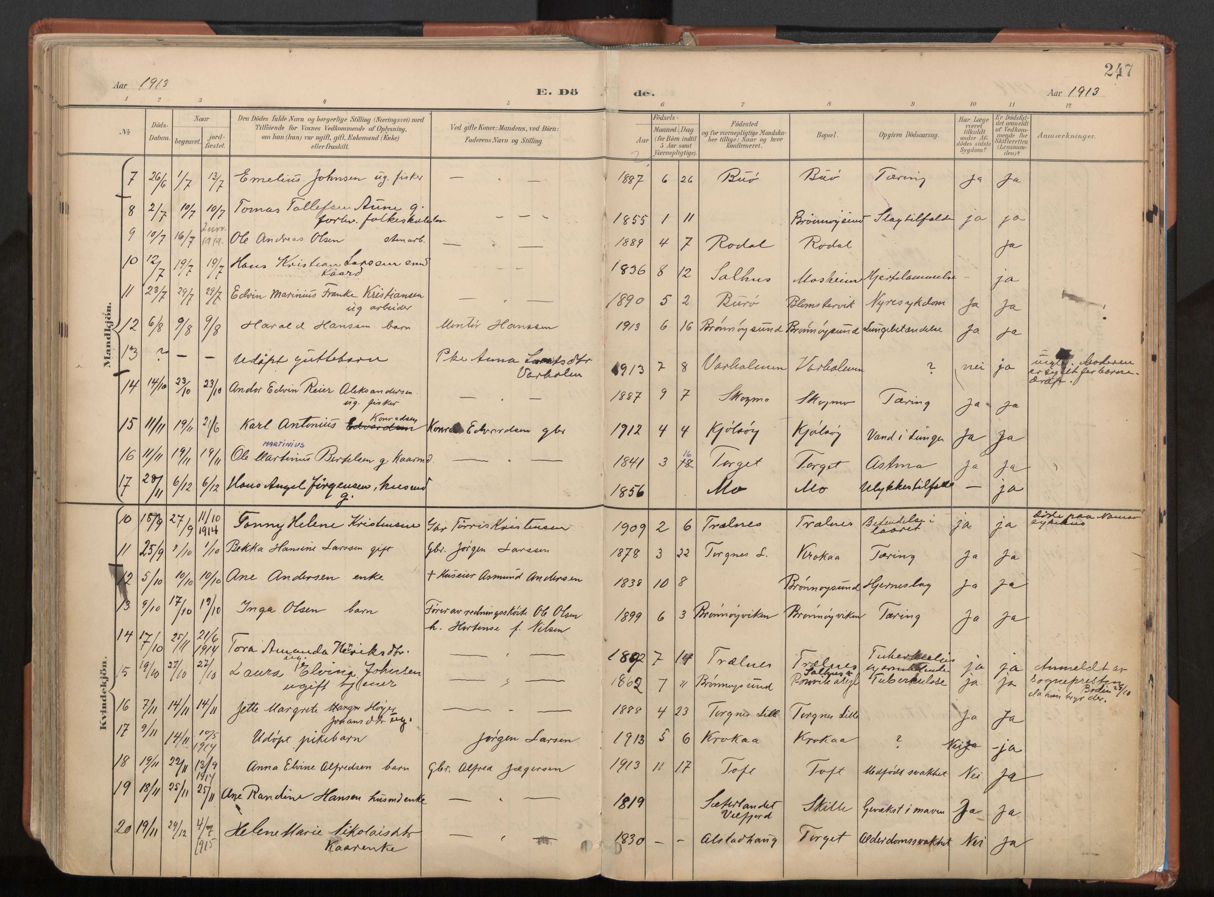 Ministerialprotokoller, klokkerbøker og fødselsregistre - Nordland, SAT/A-1459/813/L0201: Parish register (official) no. 813A11, 1901-1918, p. 247