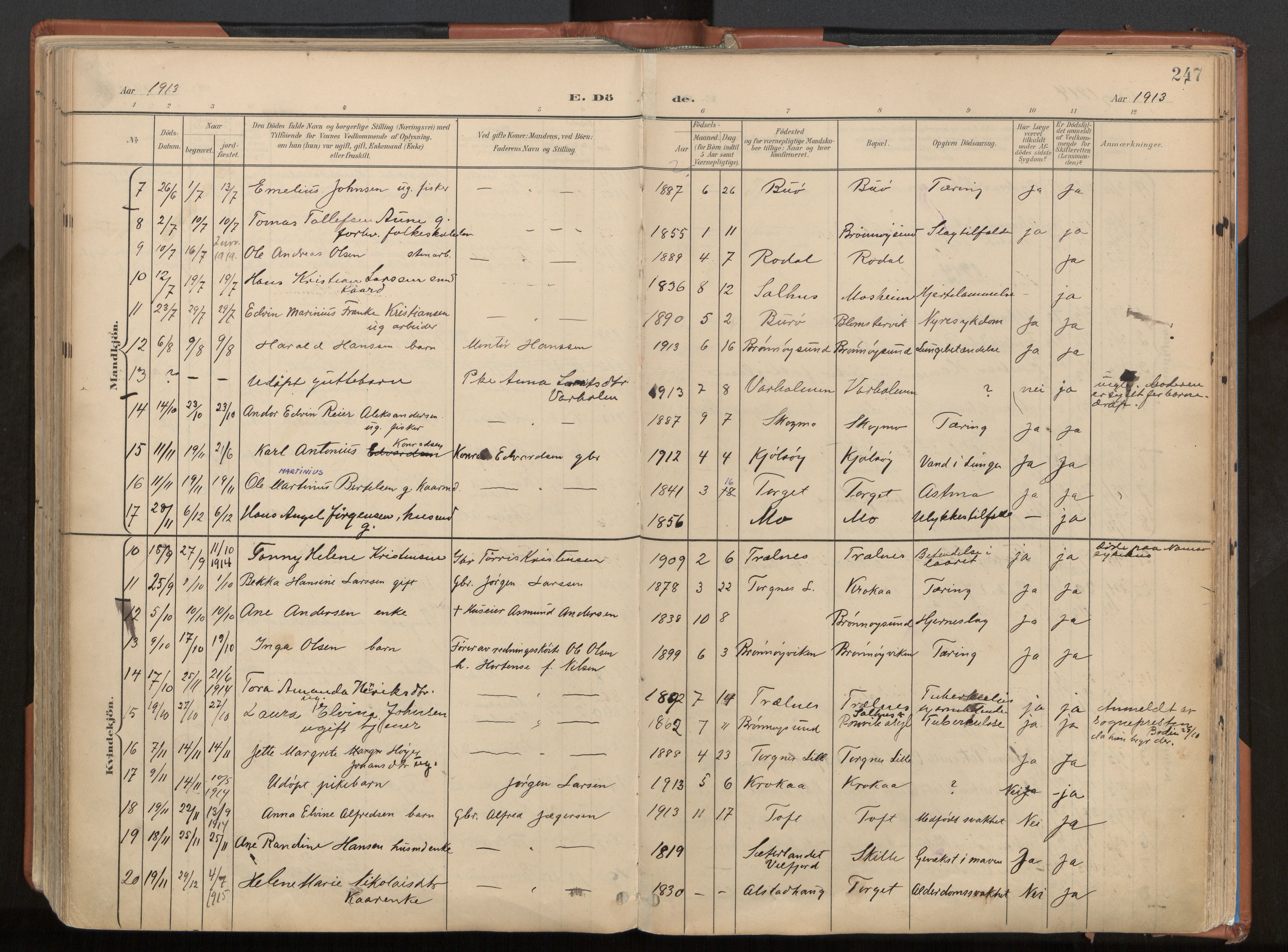 Ministerialprotokoller, klokkerbøker og fødselsregistre - Nordland, AV/SAT-A-1459/813/L0201: Parish register (official) no. 813A11, 1901-1918, p. 247