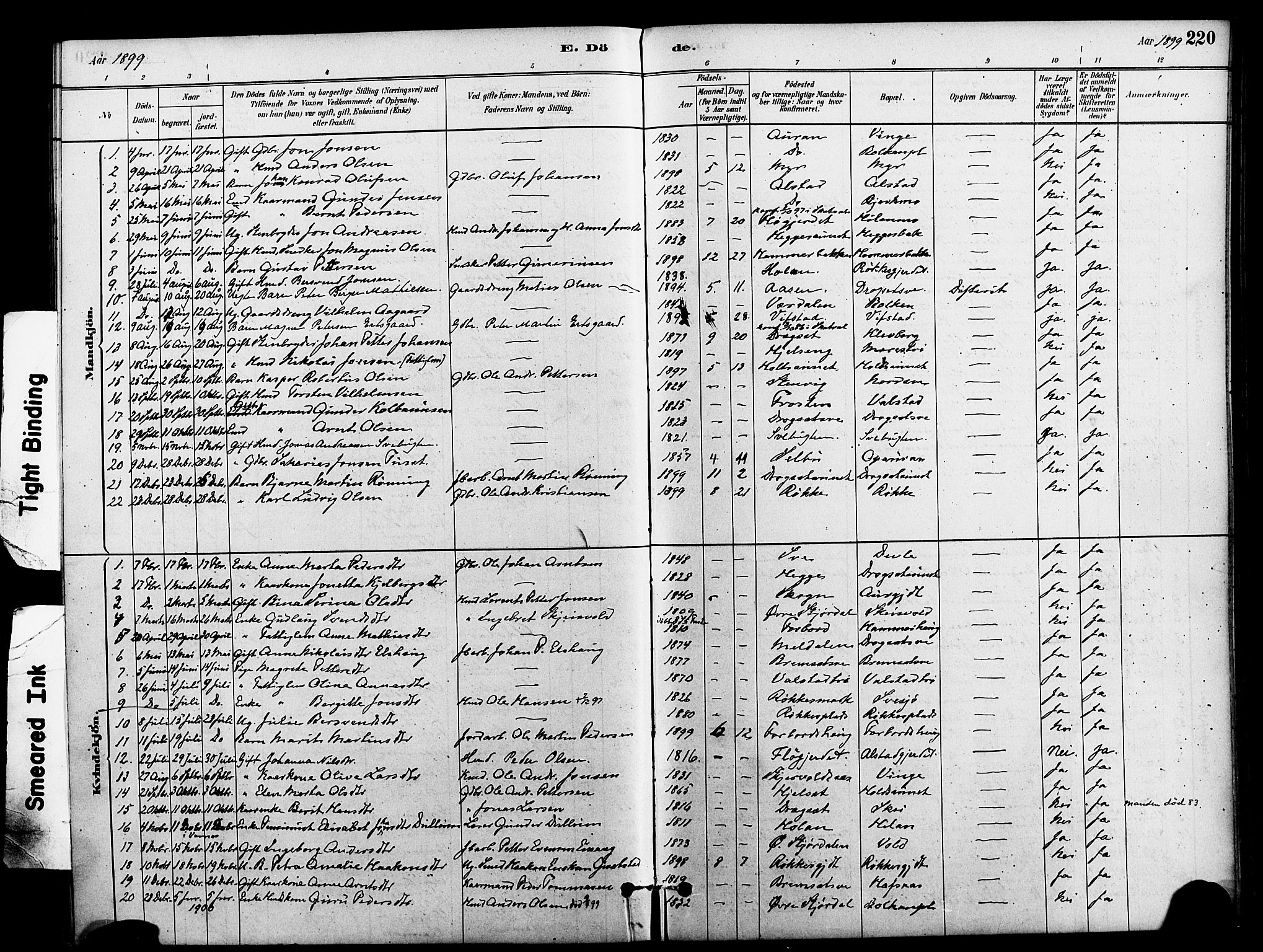 Ministerialprotokoller, klokkerbøker og fødselsregistre - Nord-Trøndelag, AV/SAT-A-1458/712/L0100: Parish register (official) no. 712A01, 1880-1900, p. 220