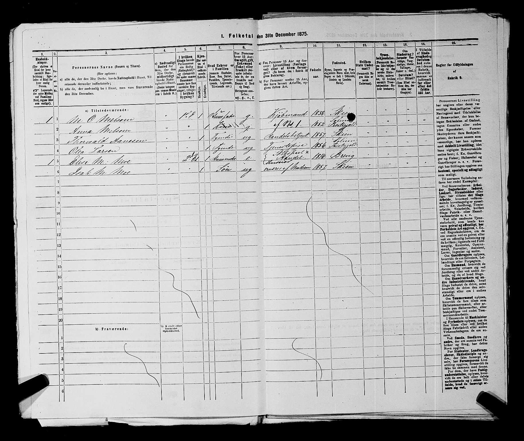 SAKO, 1875 census for 0806P Skien, 1875, p. 1346