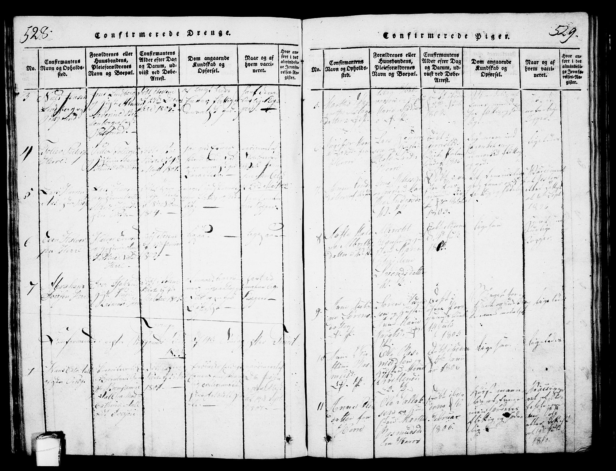 Porsgrunn kirkebøker , SAKO/A-104/G/Gb/L0001: Parish register (copy) no. II 1, 1817-1828, p. 528-529