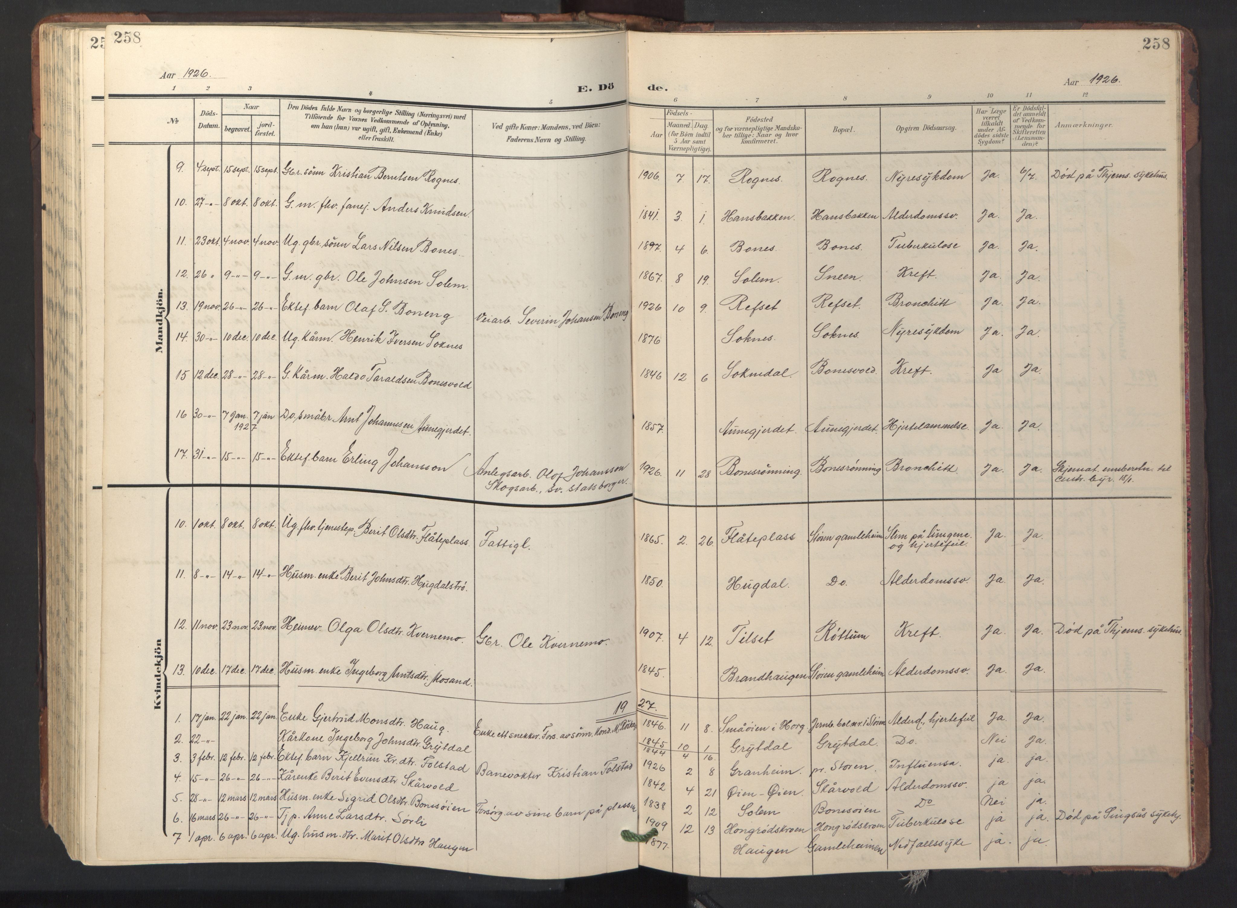 Ministerialprotokoller, klokkerbøker og fødselsregistre - Sør-Trøndelag, SAT/A-1456/687/L1019: Parish register (copy) no. 687C03, 1904-1931, p. 258