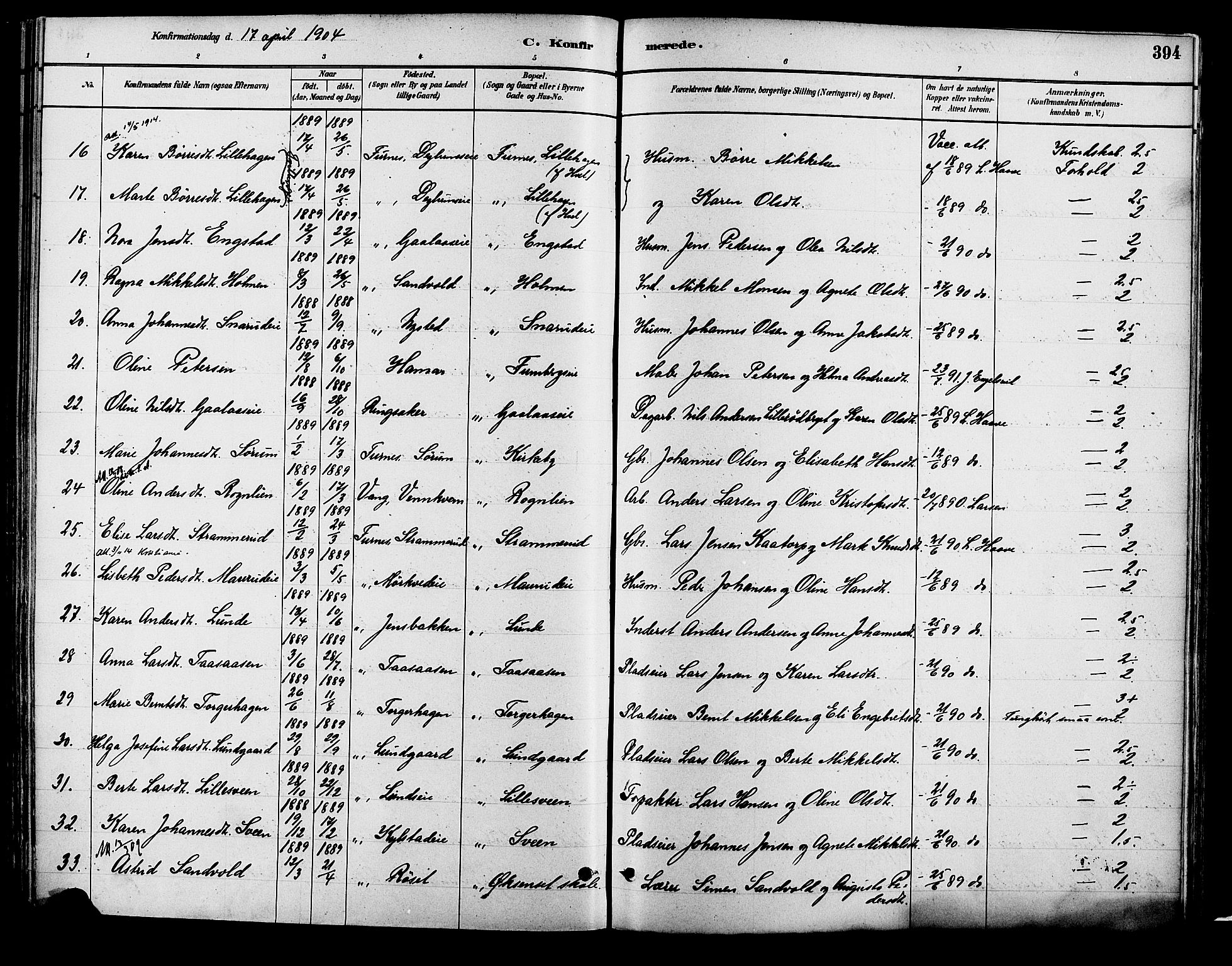 Vang prestekontor, Hedmark, AV/SAH-PREST-008/H/Ha/Haa/L0018B: Parish register (official) no. 18B, 1880-1906, p. 394