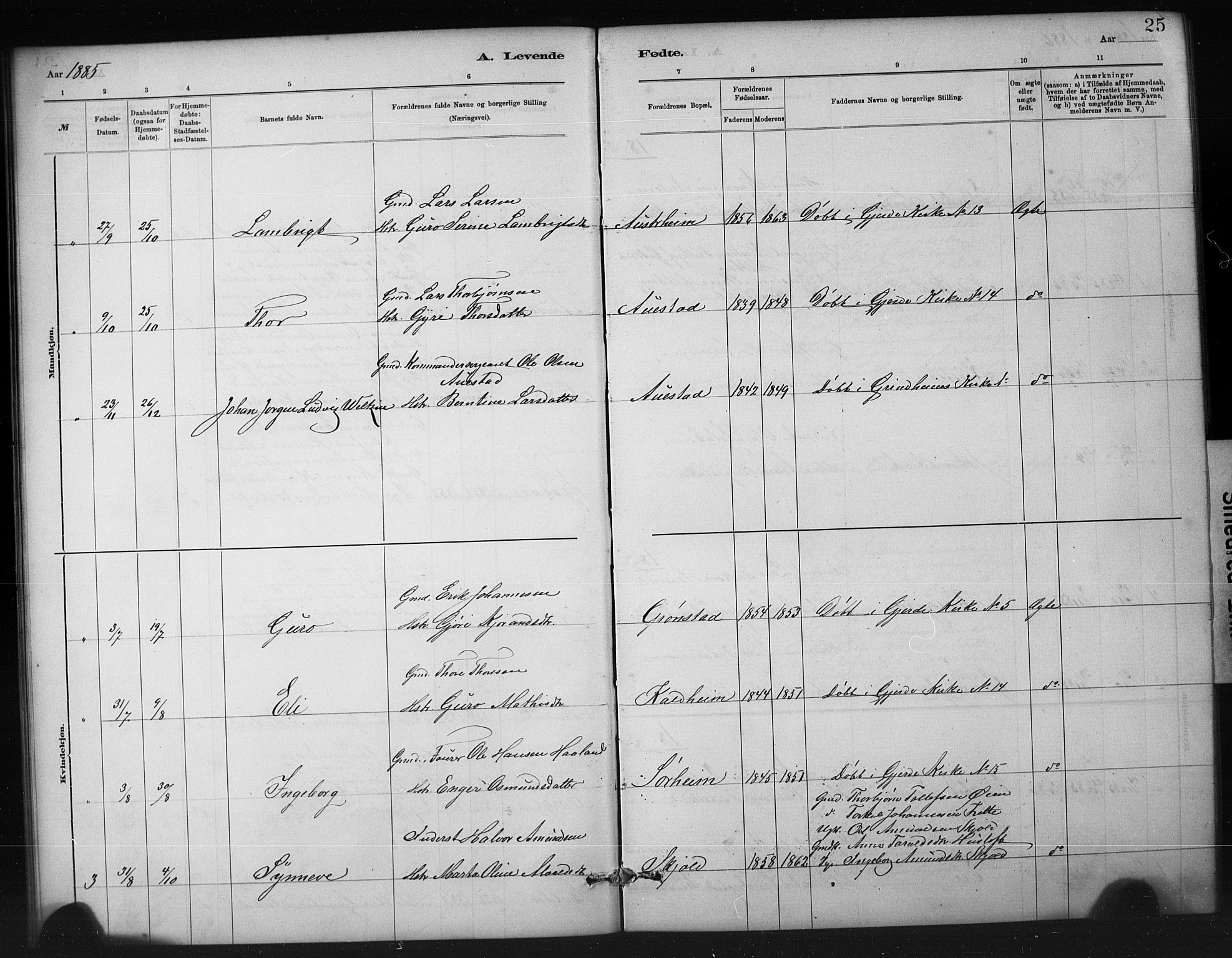 Etne sokneprestembete, SAB/A-75001/H/Hab: Parish register (copy) no. A 5, 1879-1896, p. 25