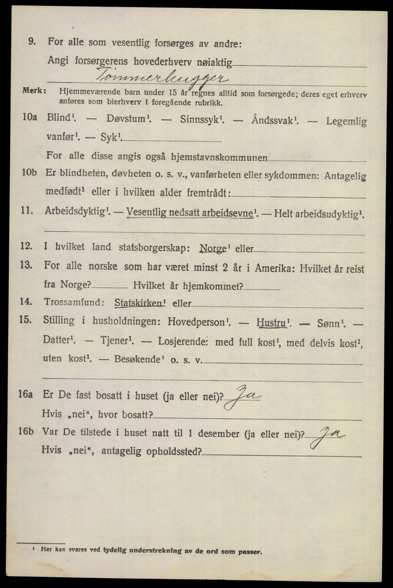 SAKO, 1920 census for Ådal, 1920, p. 1613