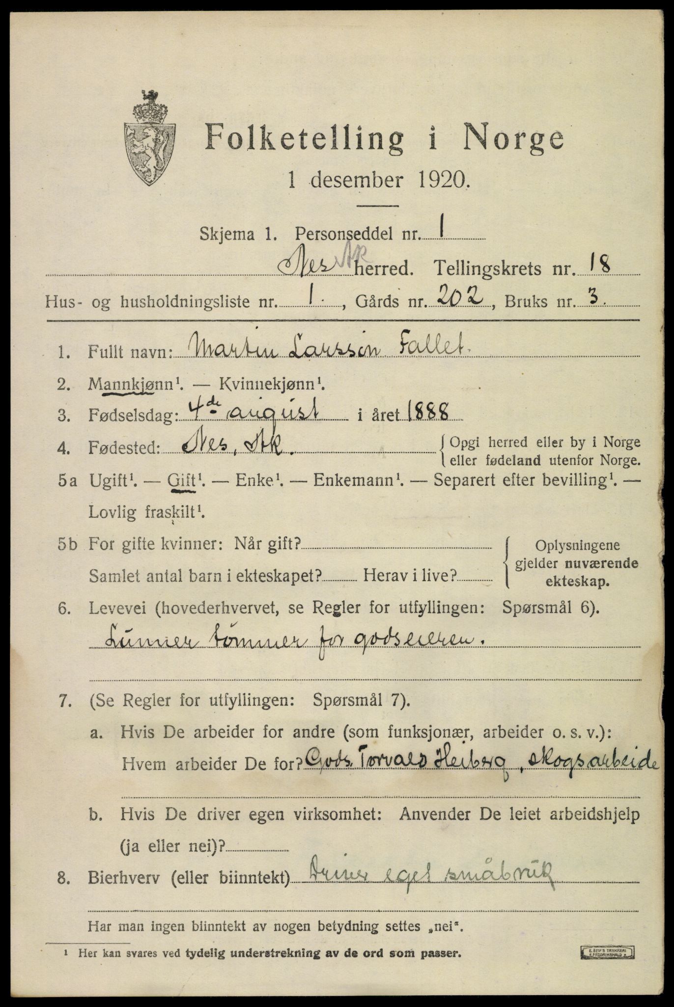 SAO, 1920 census for Nes, 1920, p. 17758