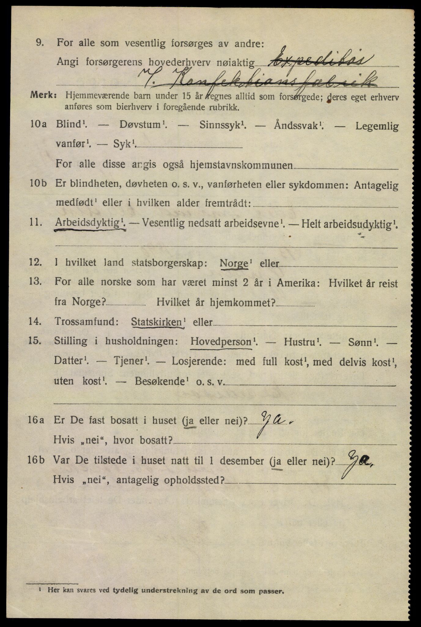 SAKO, 1920 census for Porsgrunn, 1920, p. 7136