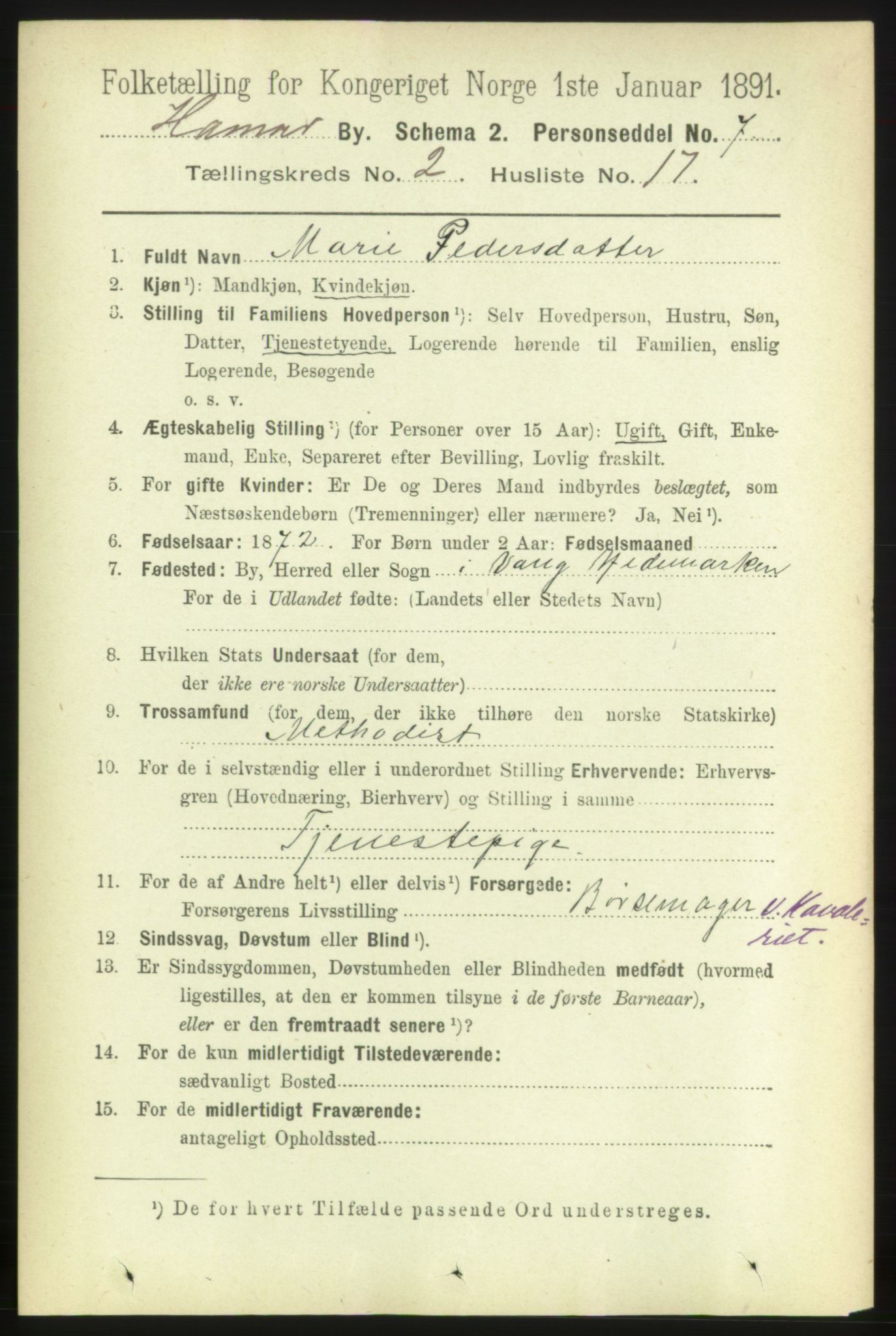RA, 1891 census for 0401 Hamar, 1891, p. 1226