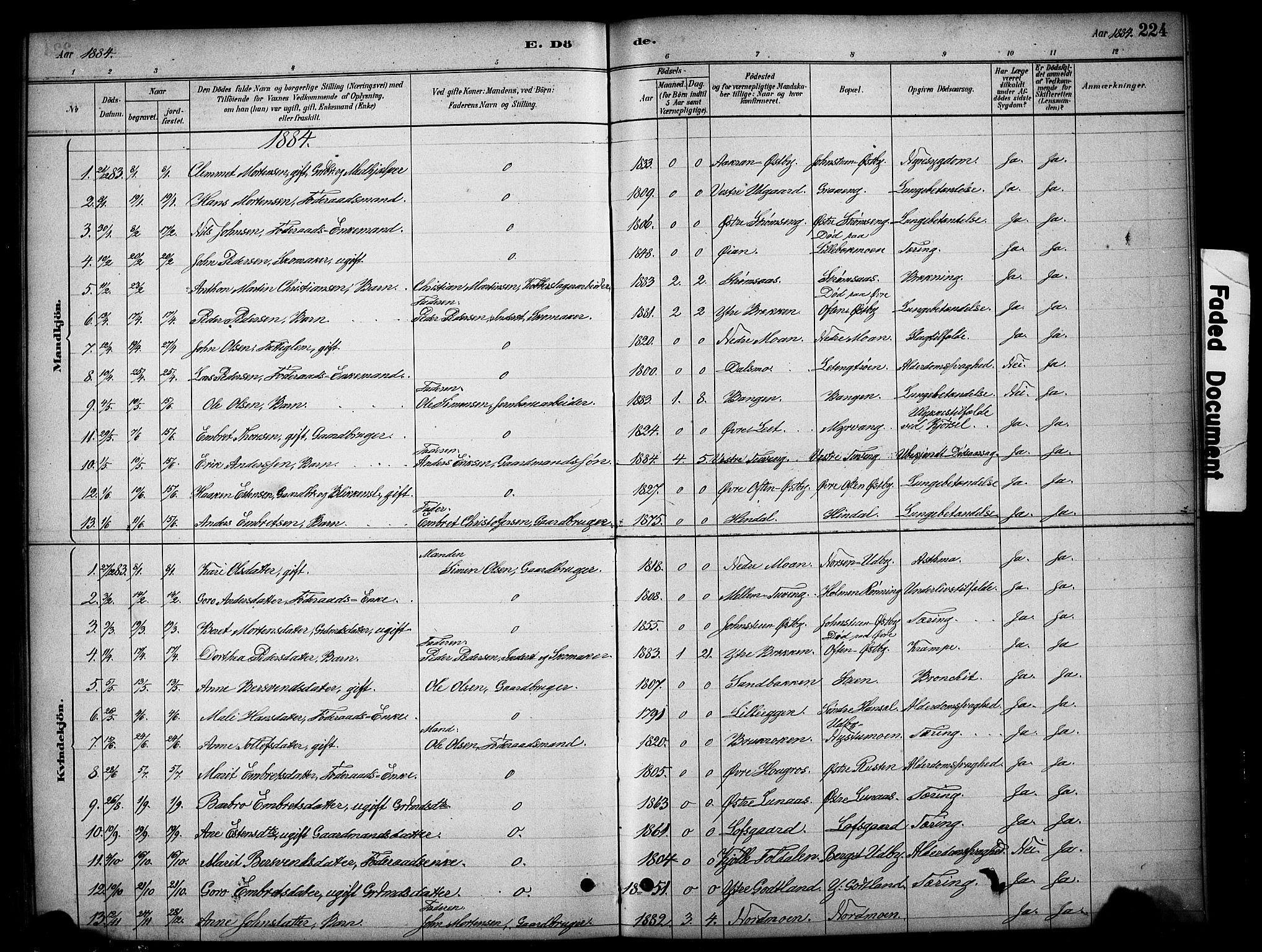 Tynset prestekontor, AV/SAH-PREST-058/H/Ha/Hab/L0006: Parish register (copy) no. 6, 1880-1899, p. 224