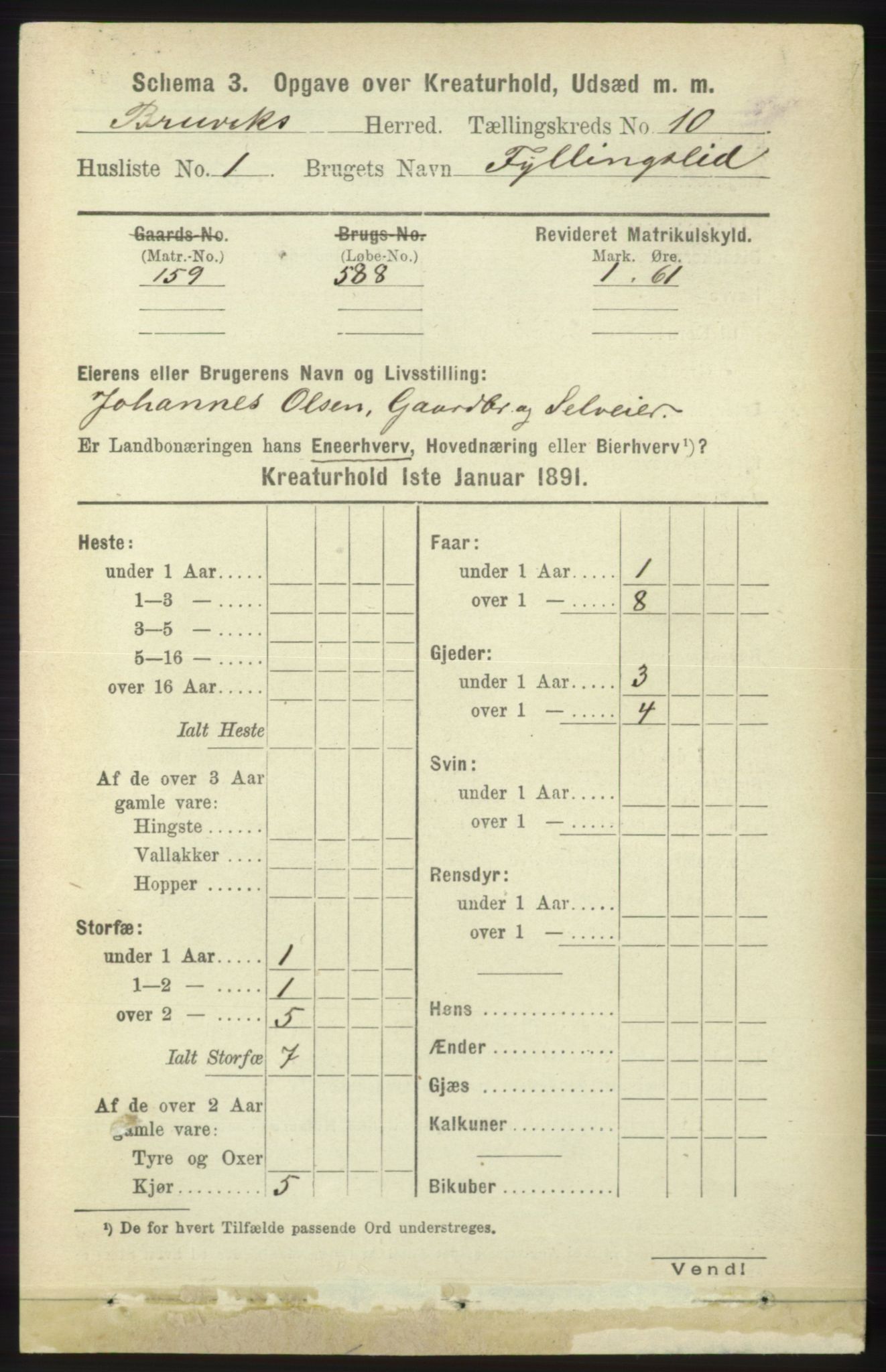 RA, 1891 census for 1251 Bruvik, 1891, p. 4896
