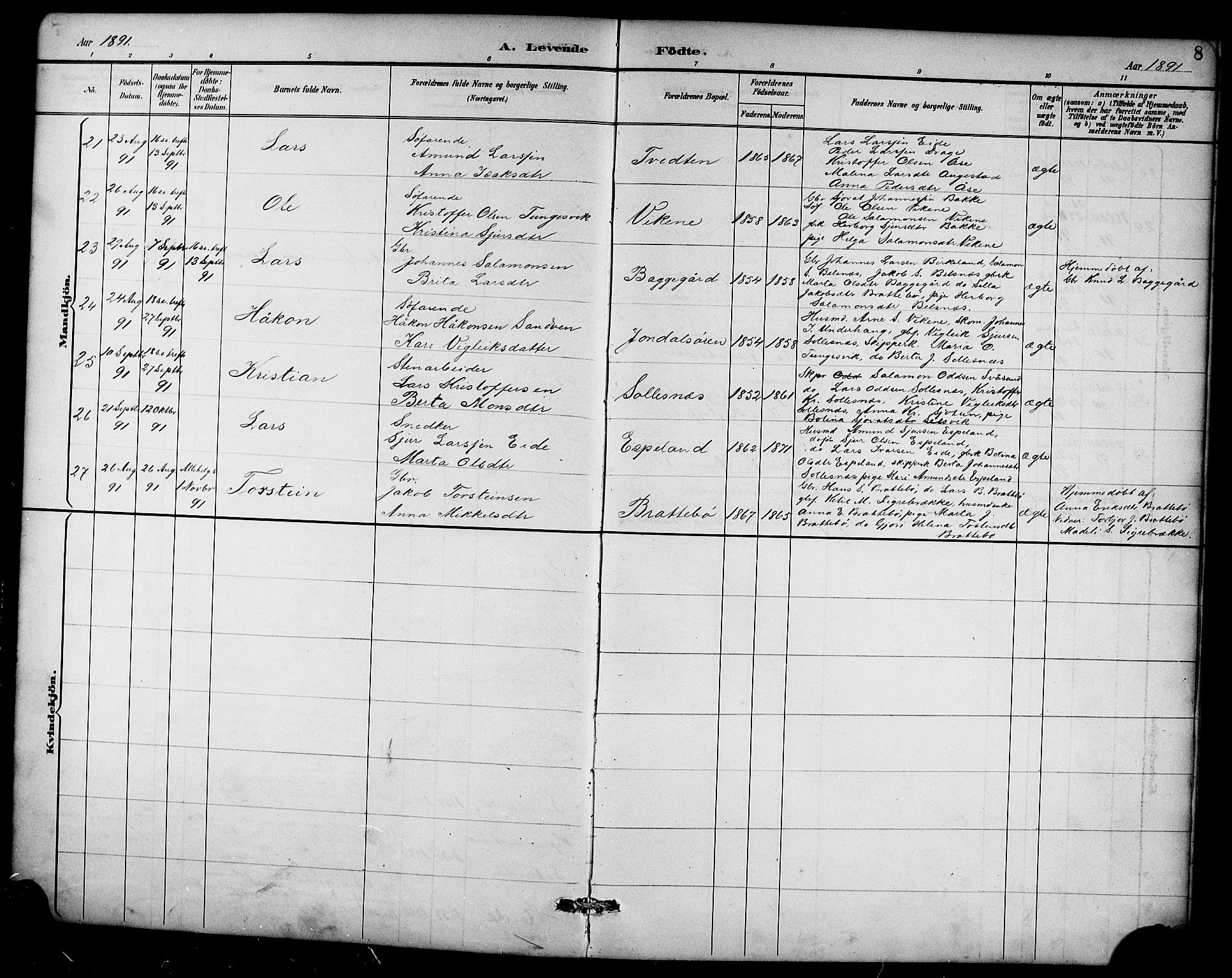 Ullensvang sokneprestembete, SAB/A-78701/H/Hab: Parish register (copy) no. D 1, 1891-1908, p. 8