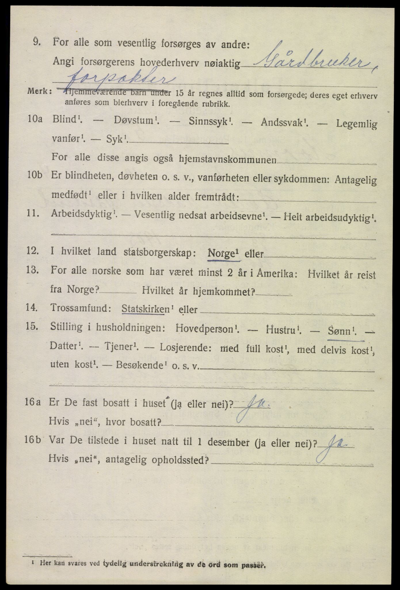 SAK, 1920 census for Hornnes, 1920, p. 1656