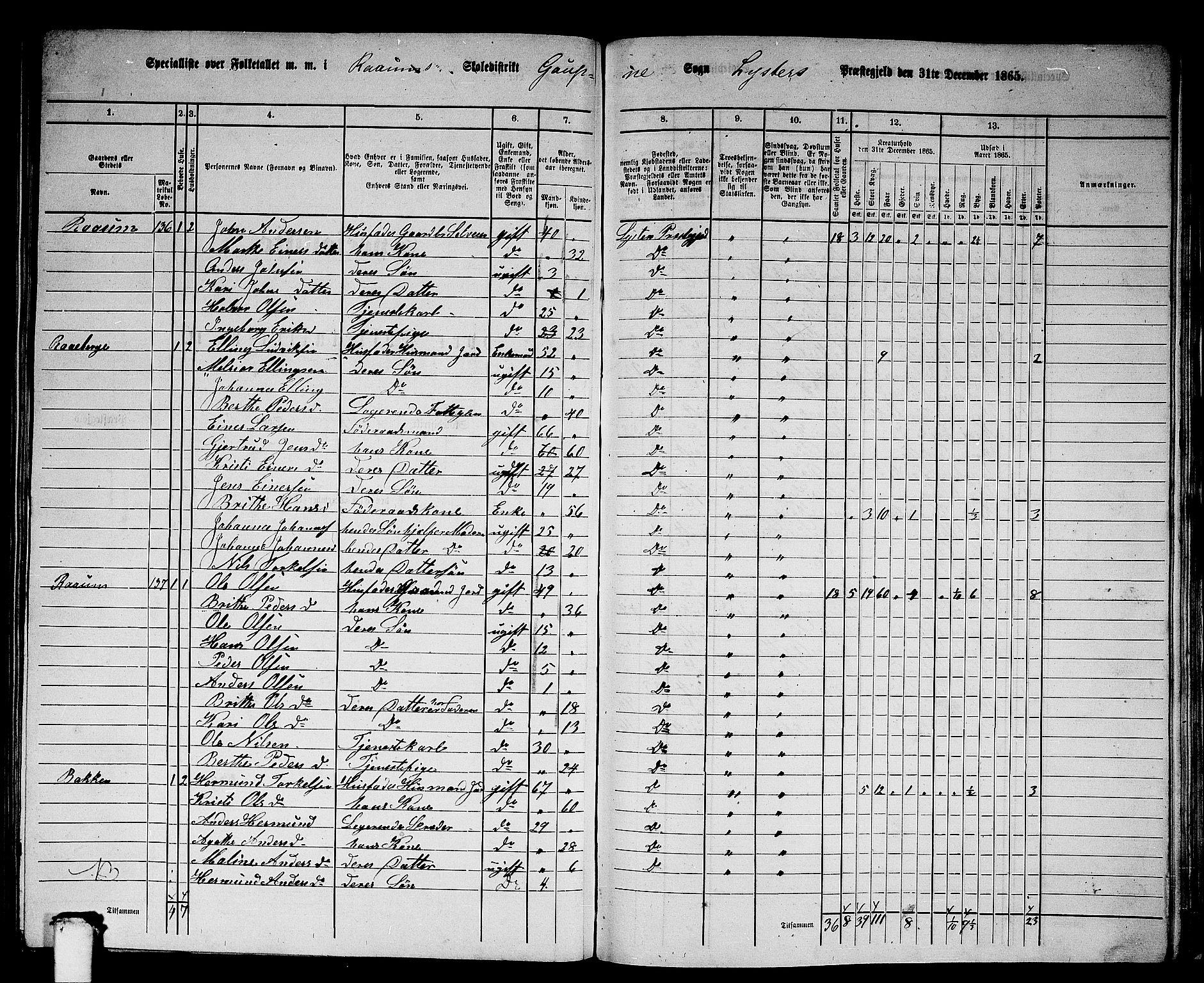 RA, 1865 census for Luster, 1865, p. 137