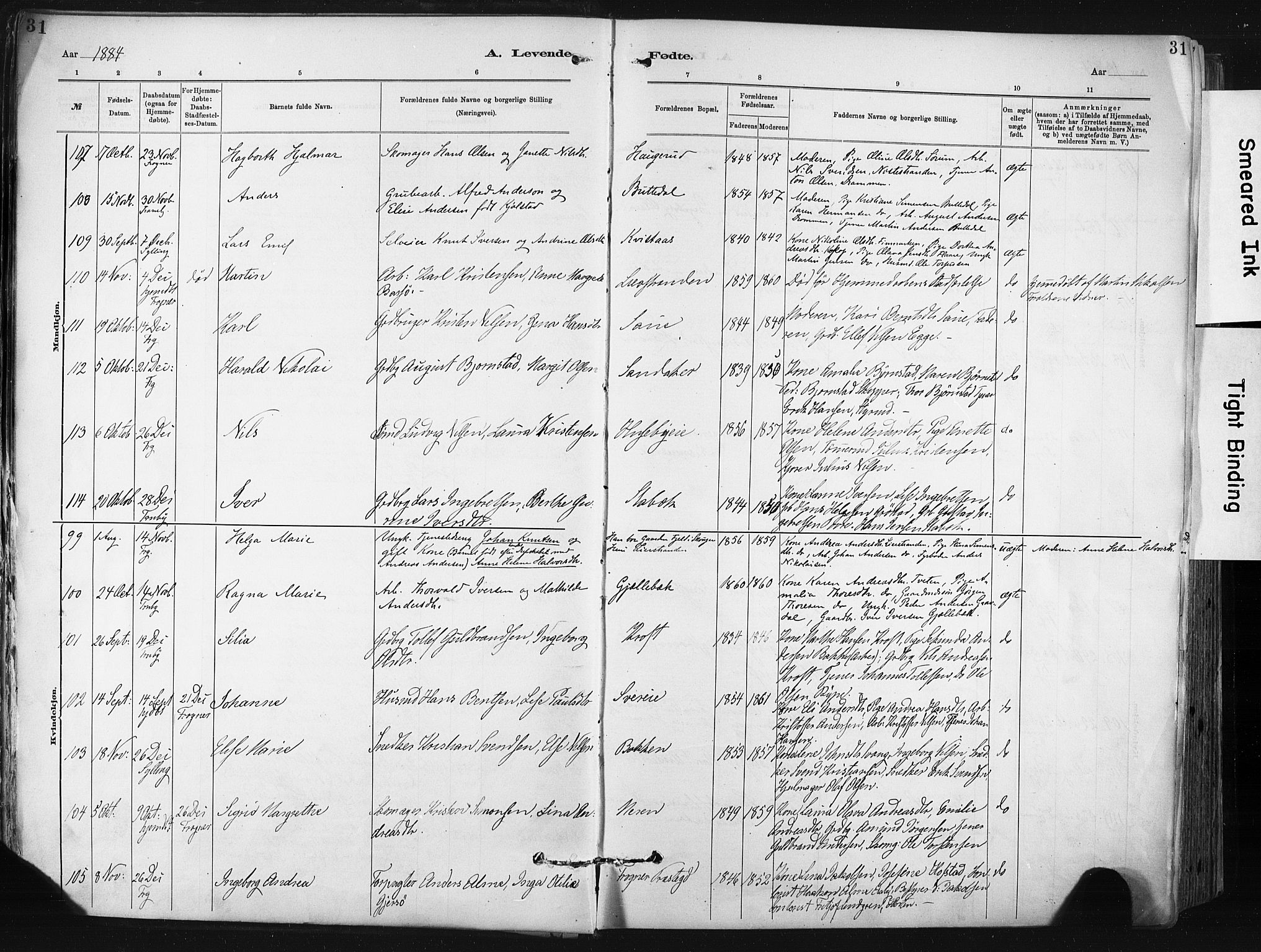 Lier kirkebøker, SAKO/A-230/F/Fa/L0015: Parish register (official) no. I 15, 1883-1894, p. 31