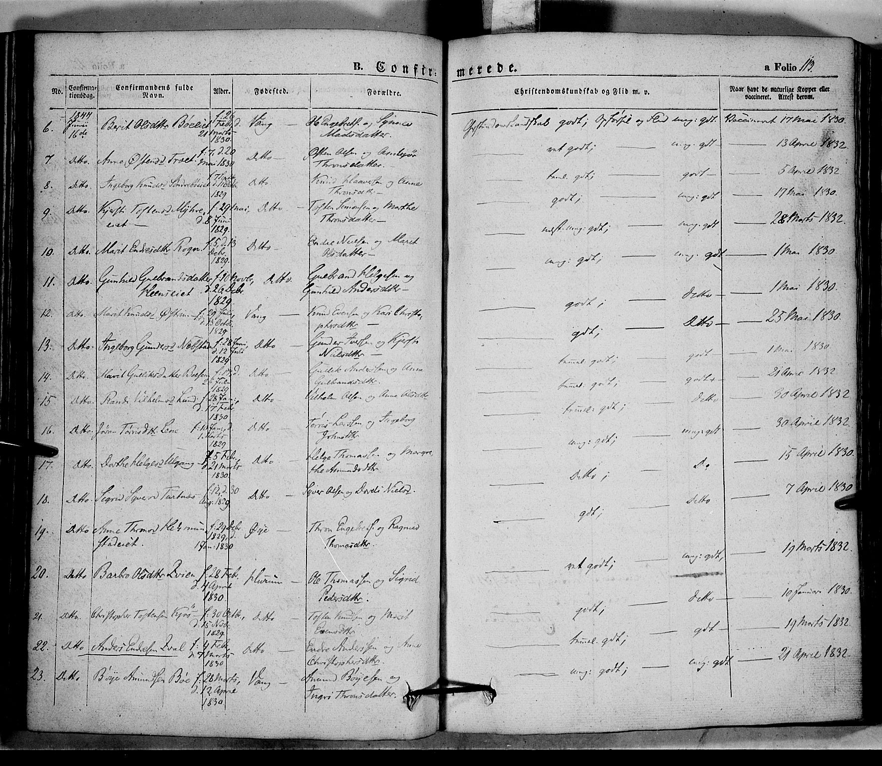 Vang prestekontor, Valdres, SAH/PREST-140/H/Ha/L0005: Parish register (official) no. 5, 1831-1845, p. 113