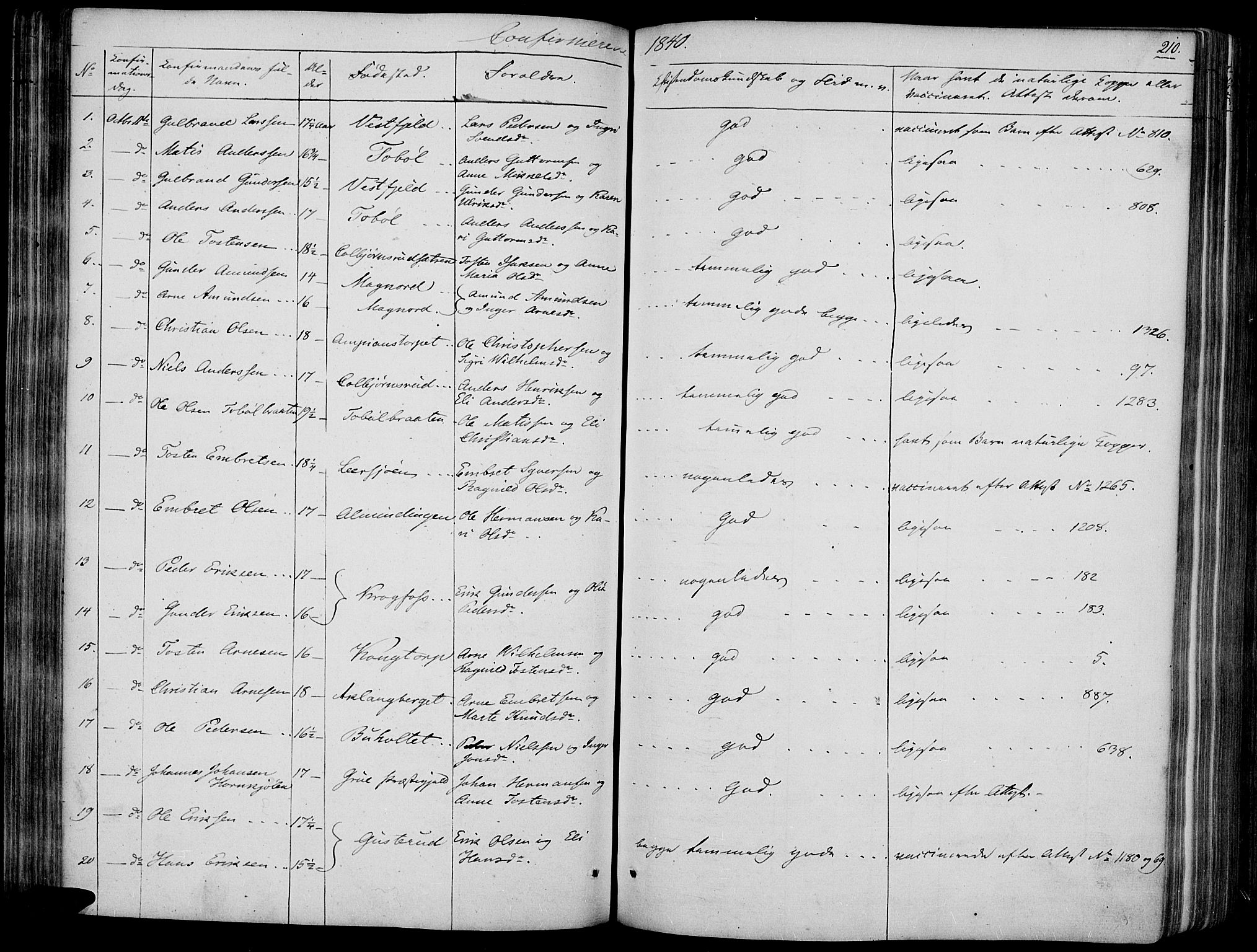 Vinger prestekontor, AV/SAH-PREST-024/H/Ha/Haa/L0008: Parish register (official) no. 8, 1839-1847, p. 210