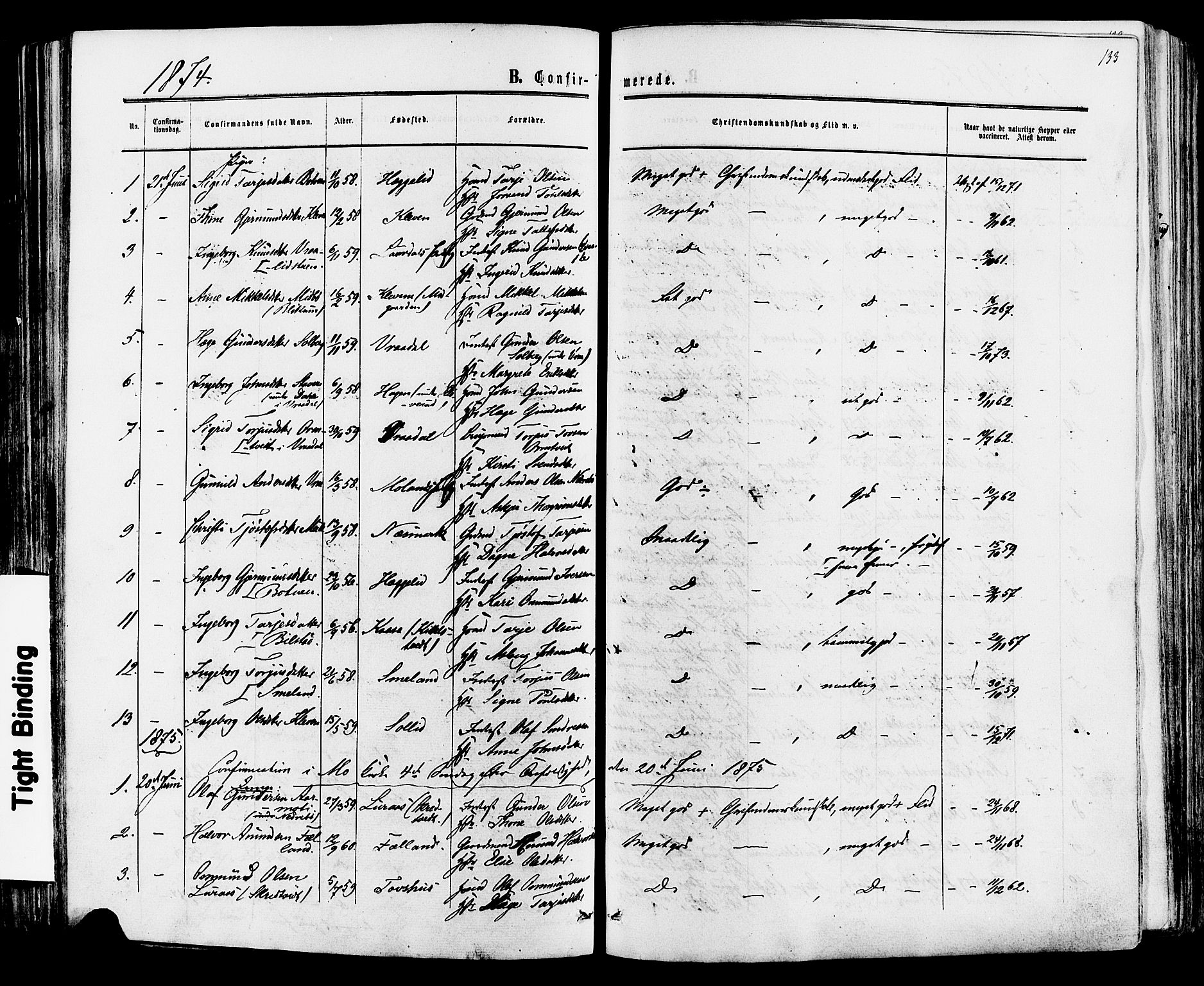 Mo kirkebøker, SAKO/A-286/F/Fa/L0006: Parish register (official) no. I 6, 1865-1885, p. 133