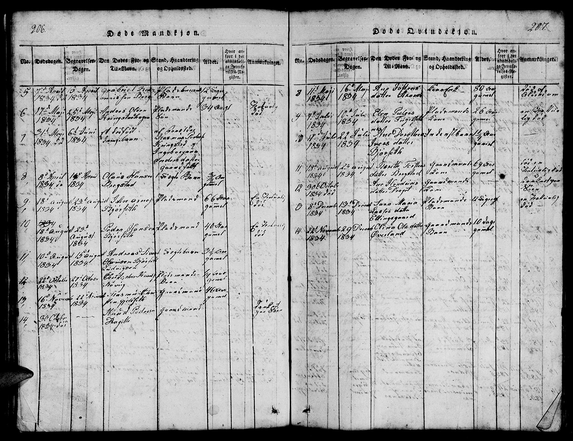 Ministerialprotokoller, klokkerbøker og fødselsregistre - Møre og Romsdal, SAT/A-1454/555/L0665: Parish register (copy) no. 555C01, 1818-1868, p. 206-207