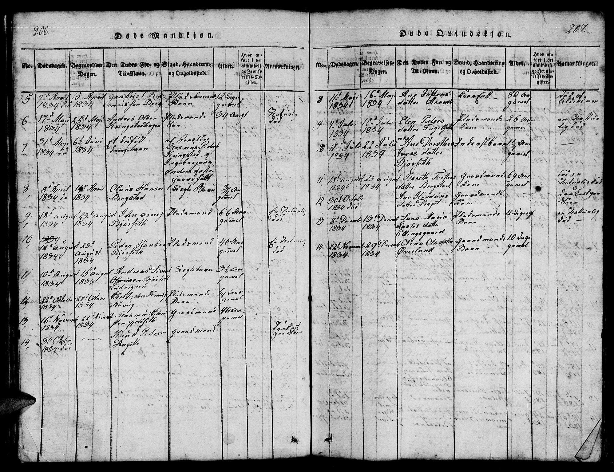 Ministerialprotokoller, klokkerbøker og fødselsregistre - Møre og Romsdal, AV/SAT-A-1454/555/L0665: Parish register (copy) no. 555C01, 1818-1868, p. 206-207