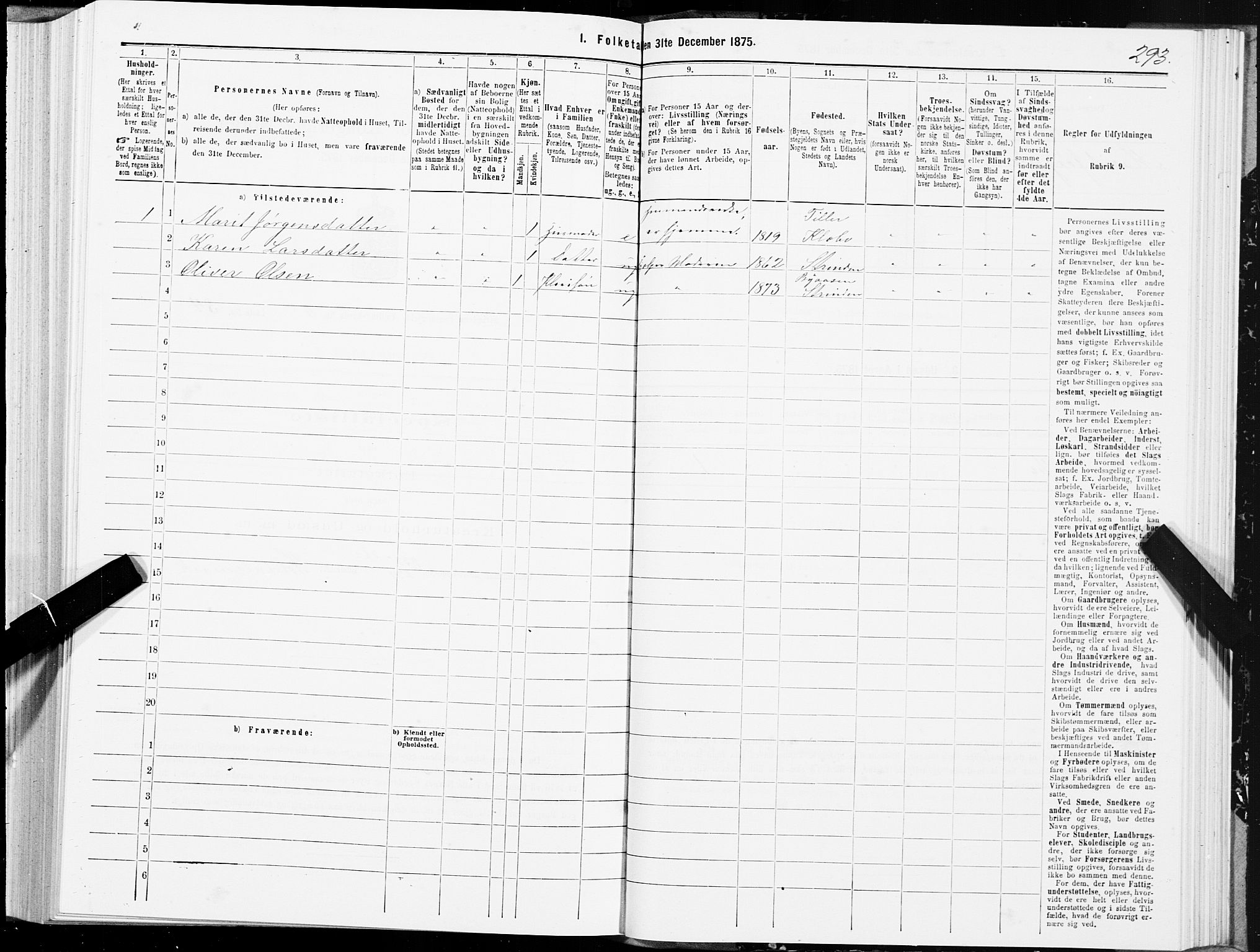 SAT, 1875 census for 1660P Strinda, 1875, p. 3293