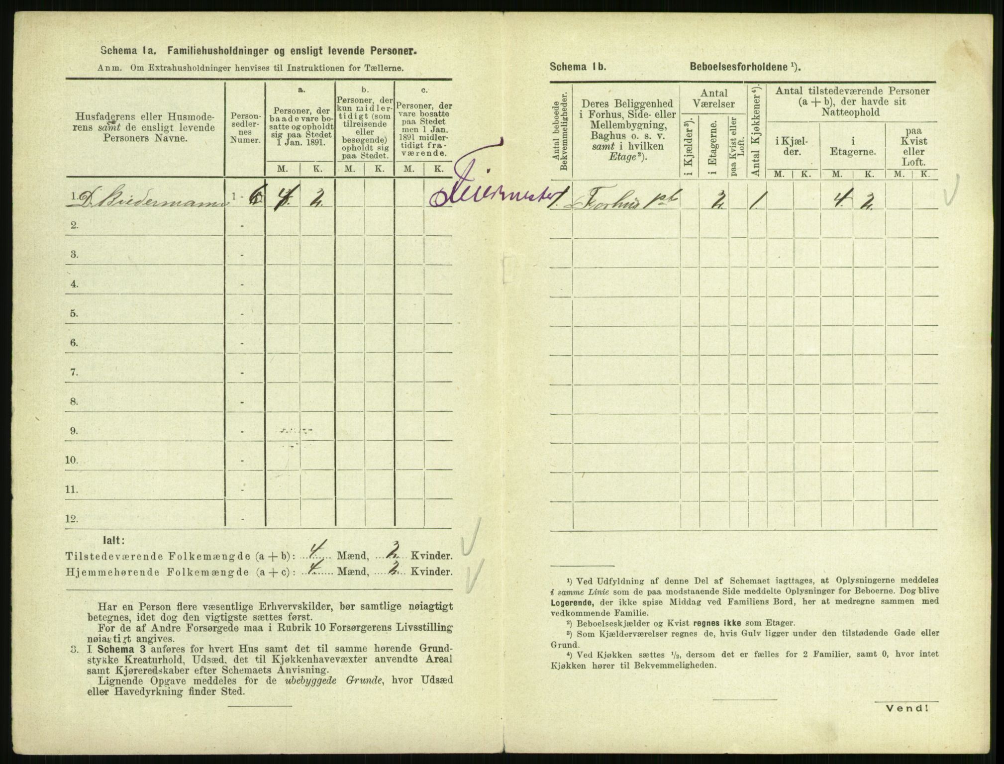 RA, 1891 census for 0805 Porsgrunn, 1891, p. 778