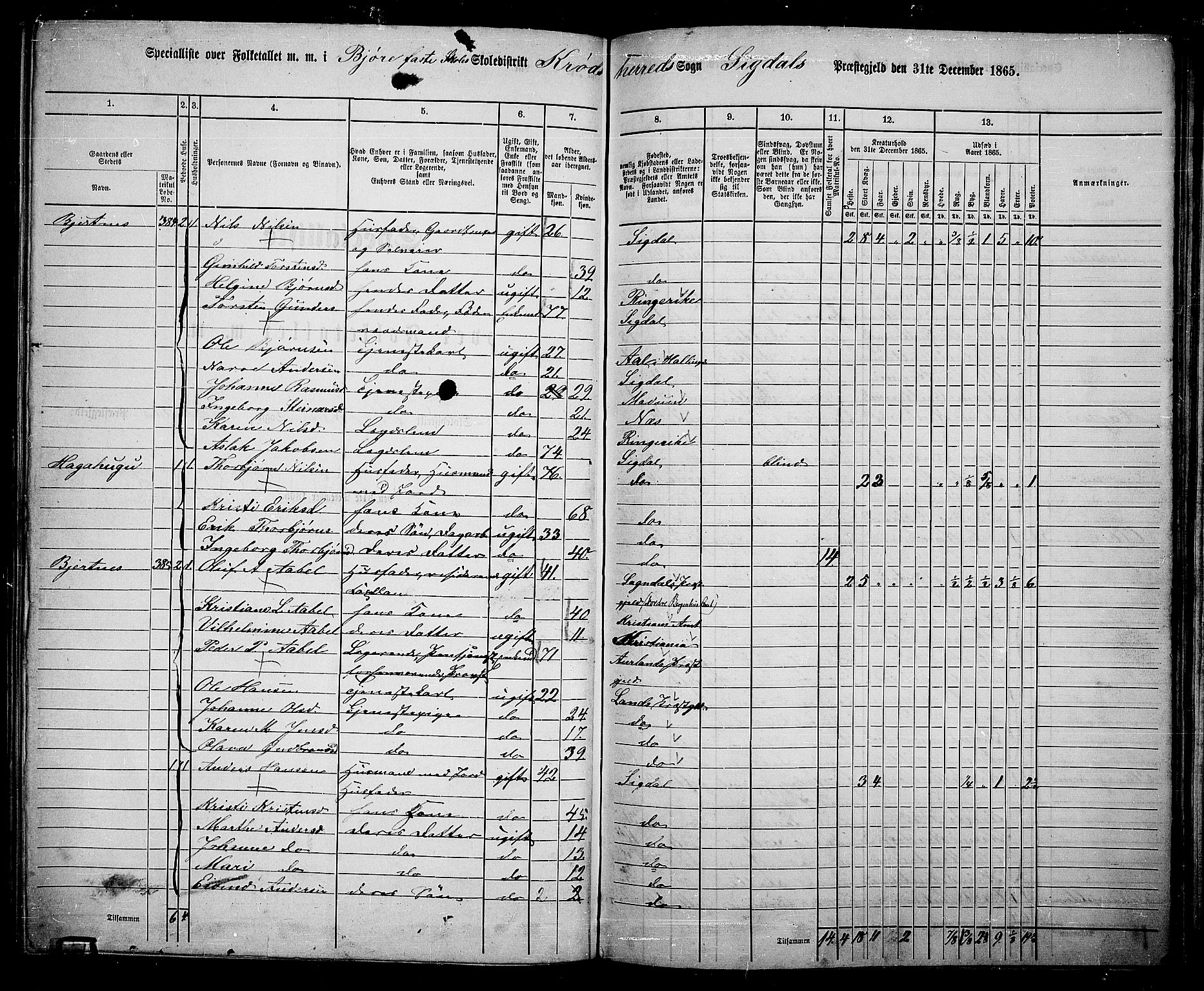 RA, 1865 census for Sigdal, 1865, p. 229