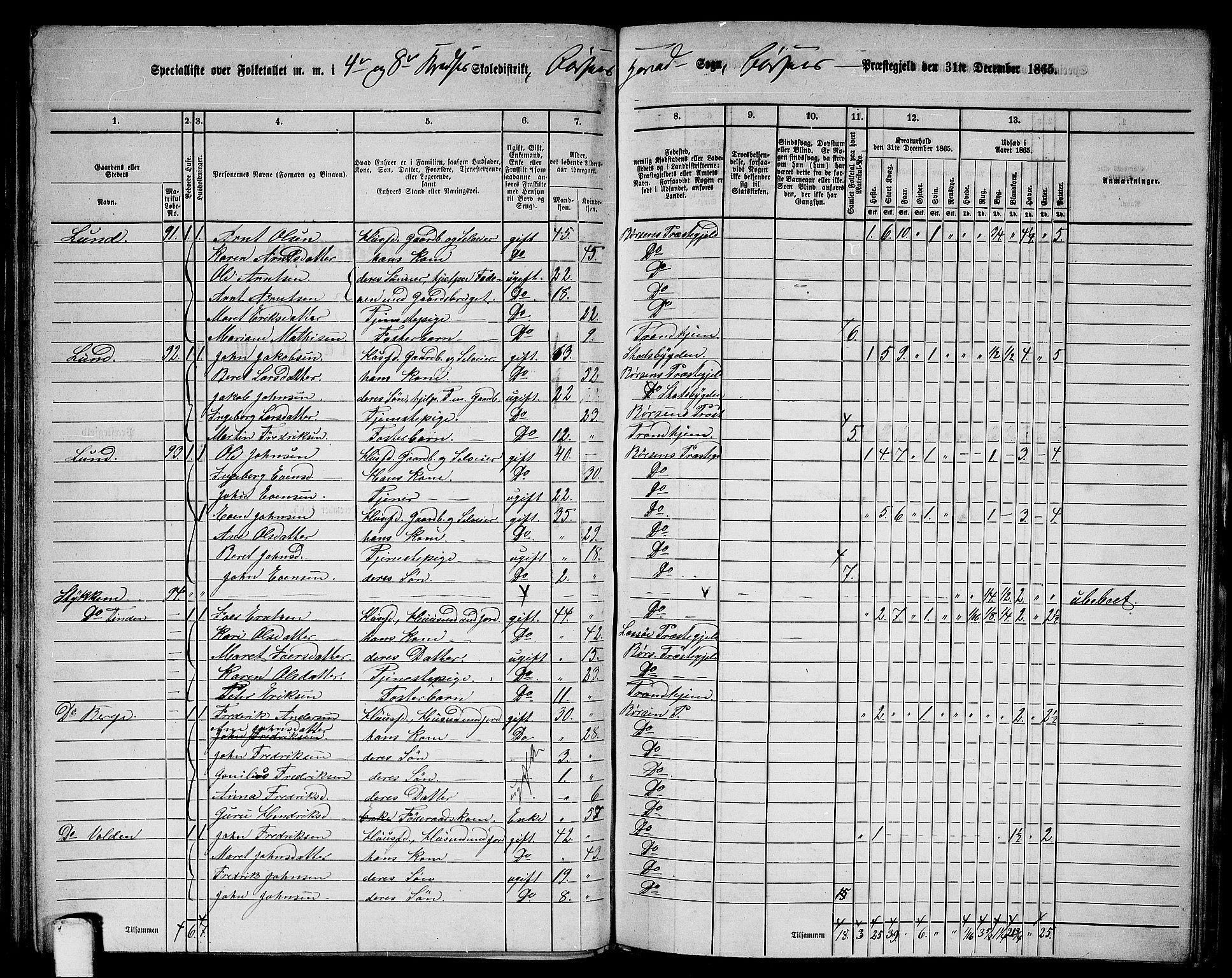 RA, 1865 census for Børsa, 1865, p. 66