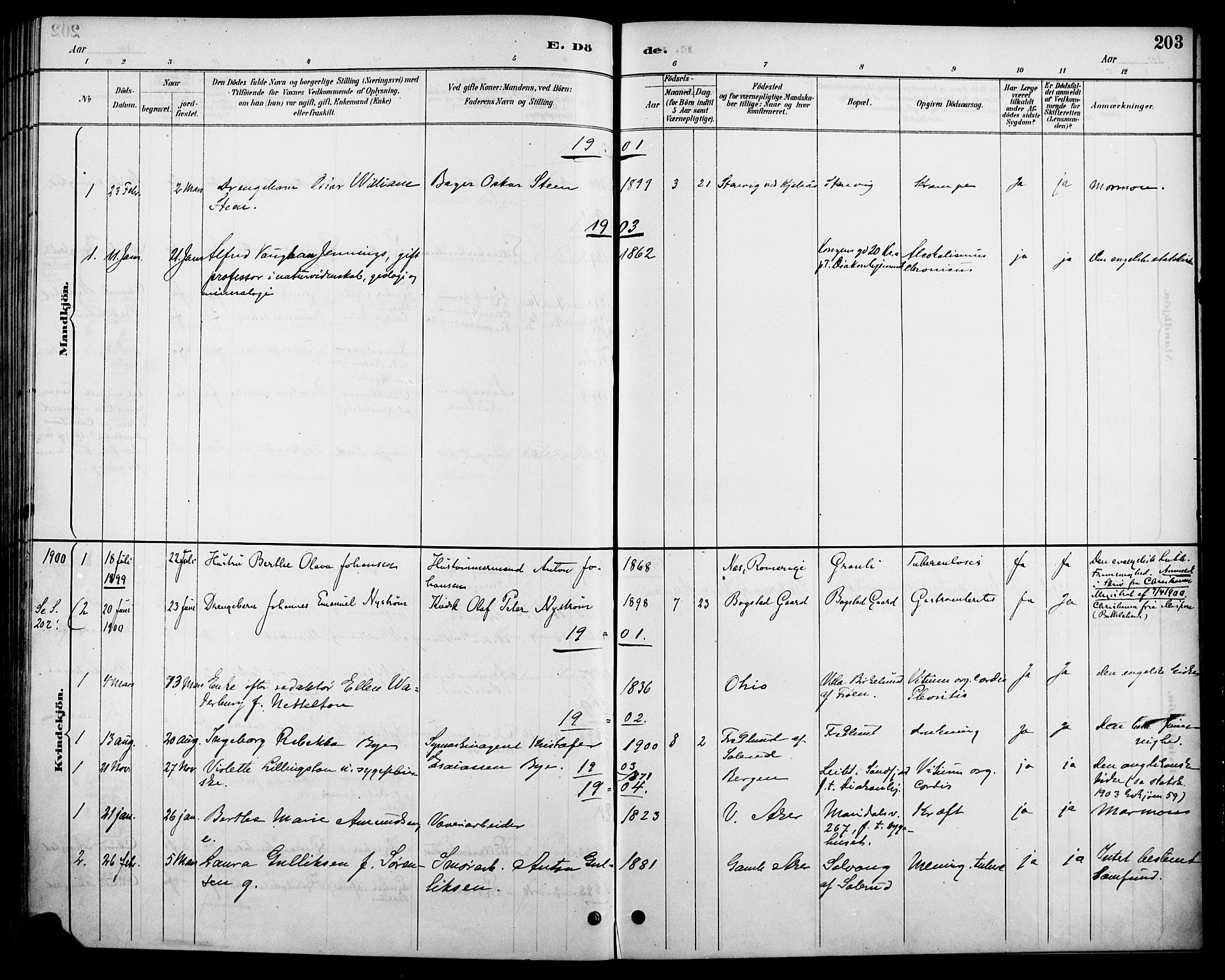 Vestre Aker prestekontor Kirkebøker, SAO/A-10025/F/Fa/L0011: Parish register (official) no. 11, 1886-1904, p. 203