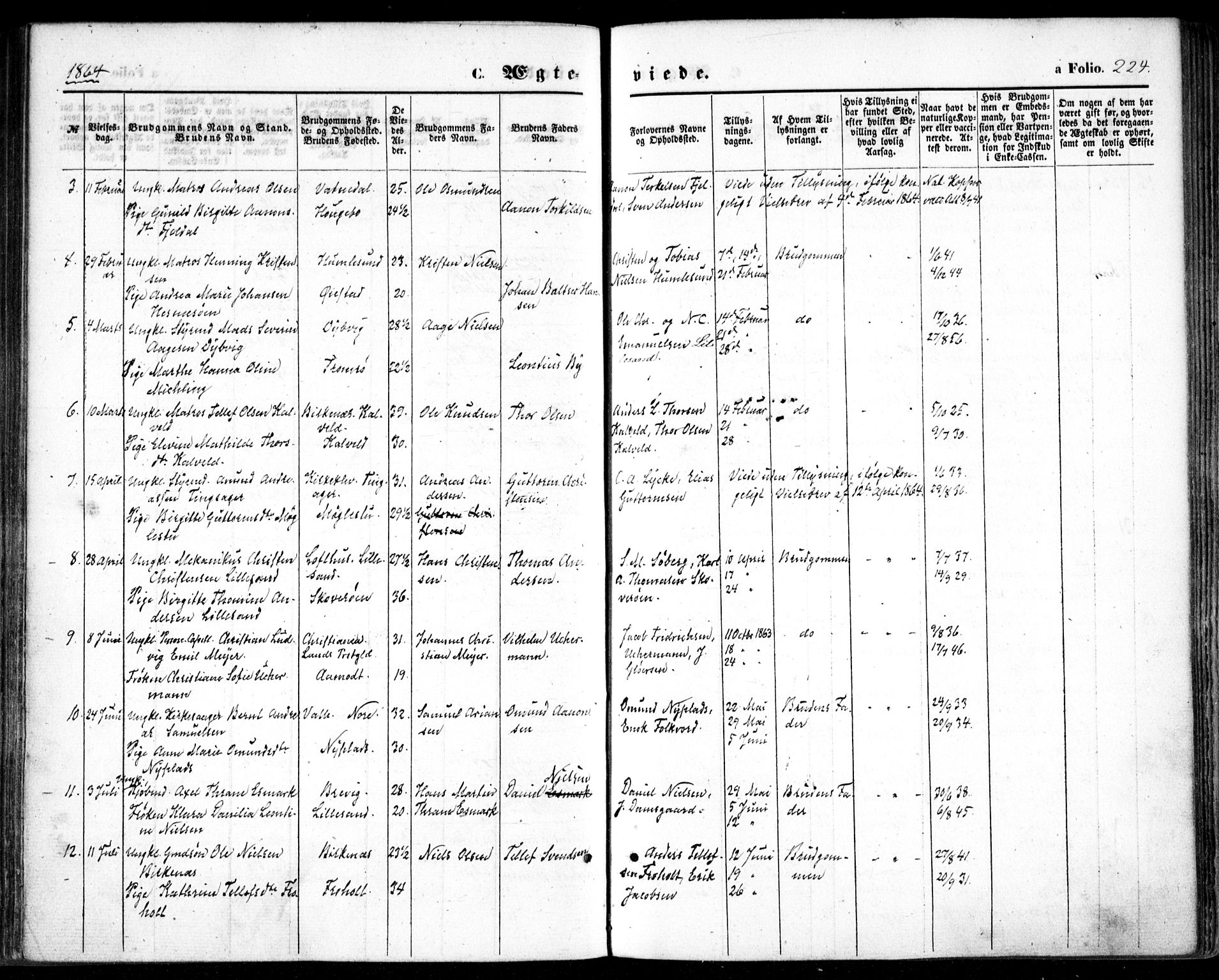 Vestre Moland sokneprestkontor, SAK/1111-0046/F/Fa/Fab/L0007: Parish register (official) no. A 7, 1859-1872, p. 224