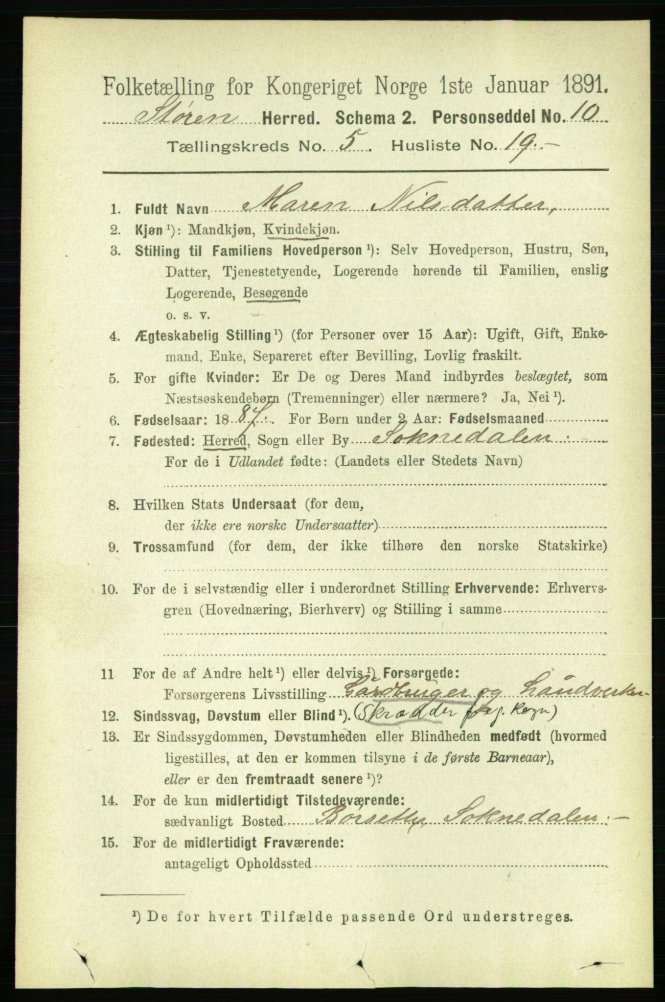RA, 1891 census for 1648 Støren, 1891, p. 2051