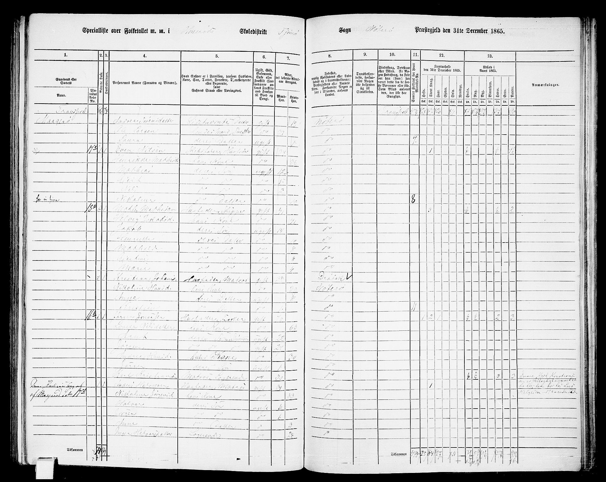 RA, 1865 census for Nøtterøy, 1865, p. 221