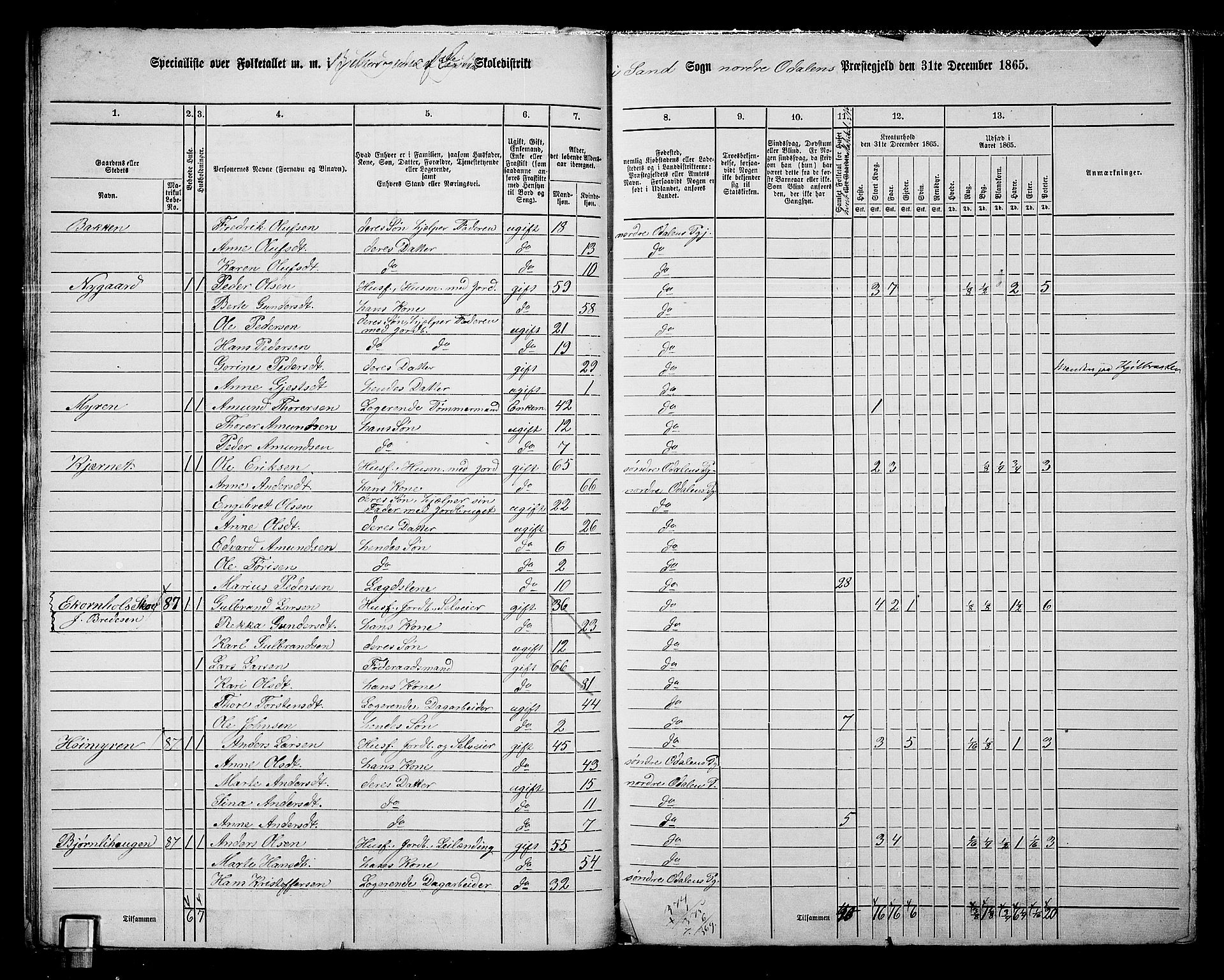 RA, 1865 census for Nord-Odal, 1865, p. 21