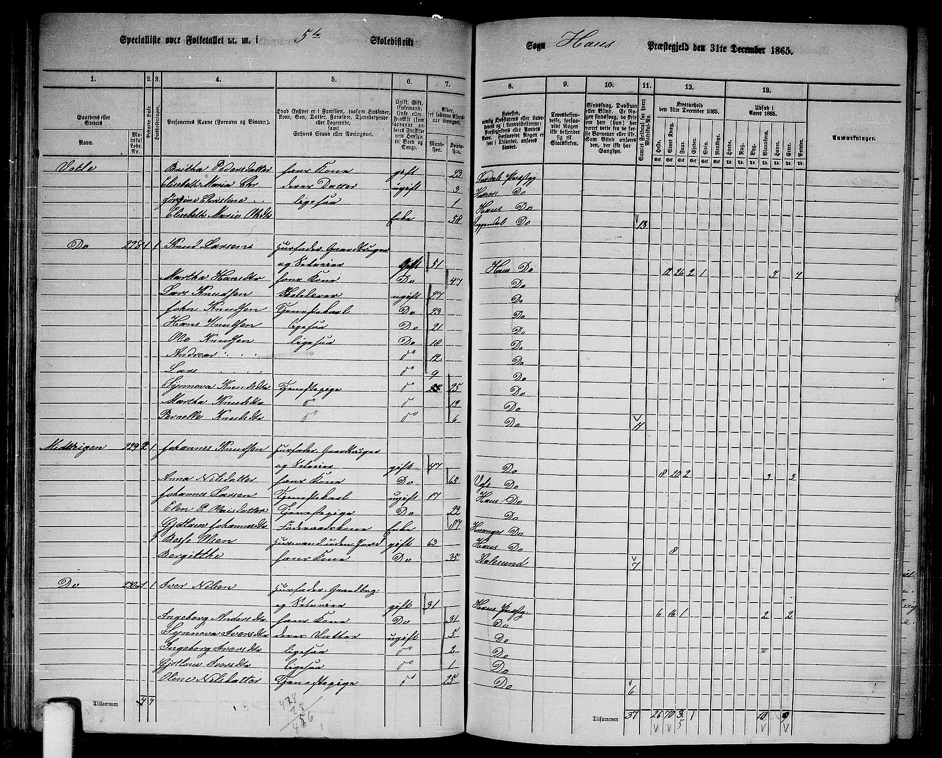 RA, 1865 census for Haus, 1865, p. 110