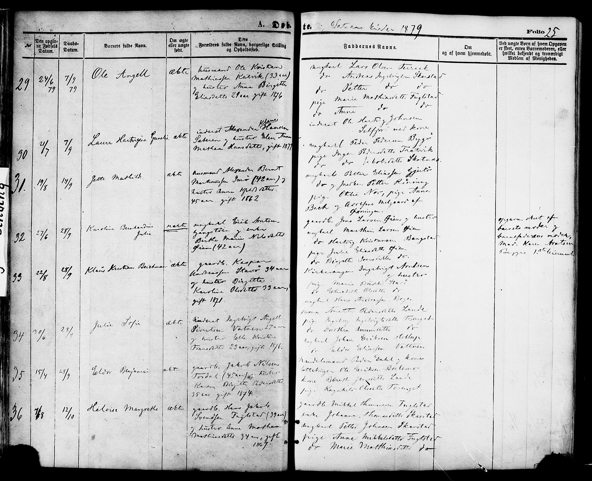 Ministerialprotokoller, klokkerbøker og fødselsregistre - Nordland, AV/SAT-A-1459/810/L0148: Parish register (official) no. 810A09 /1, 1874-1884, p. 25