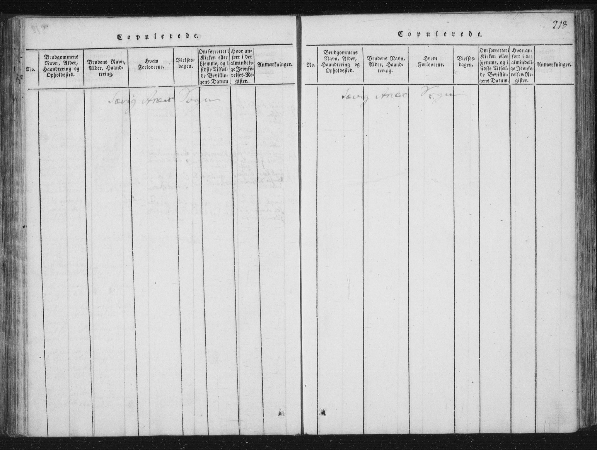 Ministerialprotokoller, klokkerbøker og fødselsregistre - Nord-Trøndelag, SAT/A-1458/773/L0609: Parish register (official) no. 773A03 /4, 1815-1818, p. 213