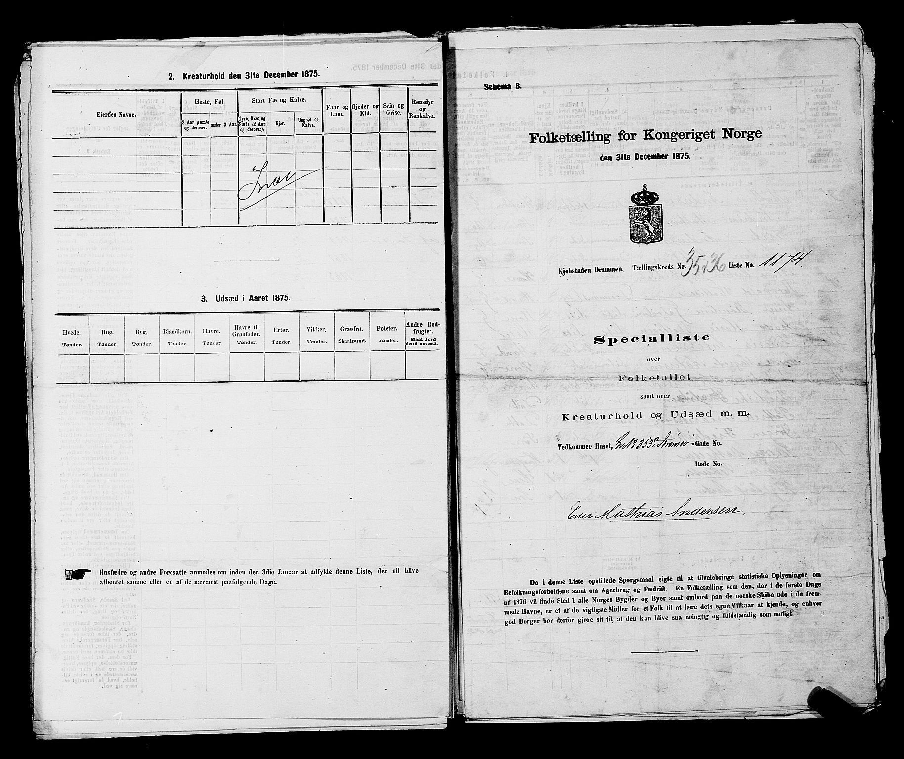 SAKO, 1875 census for 0602 Drammen, 1875, p. 3103