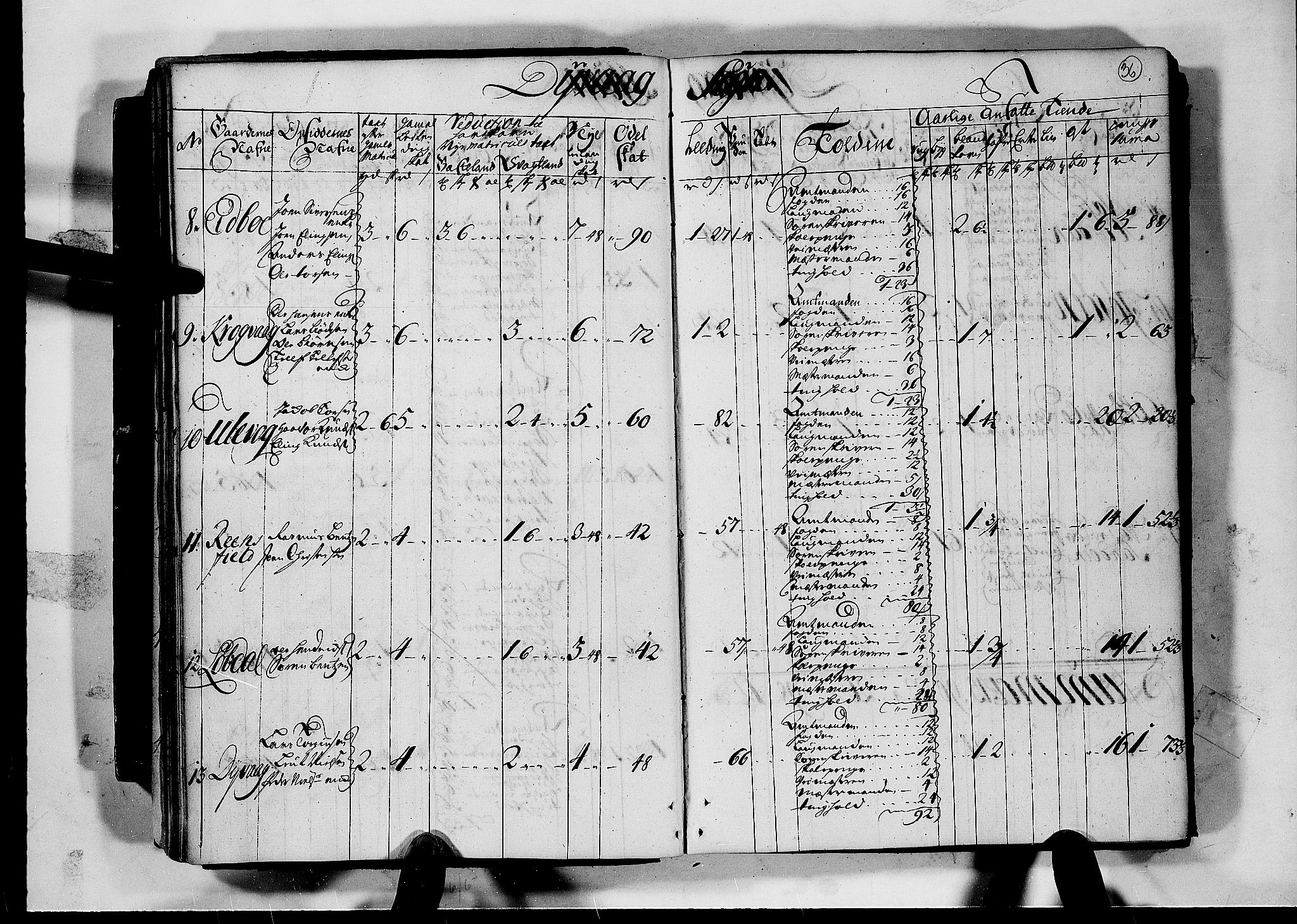 Rentekammeret inntil 1814, Realistisk ordnet avdeling, RA/EA-4070/N/Nb/Nbf/L0124: Nedenes matrikkelprotokoll, 1723, p. 35b-36a