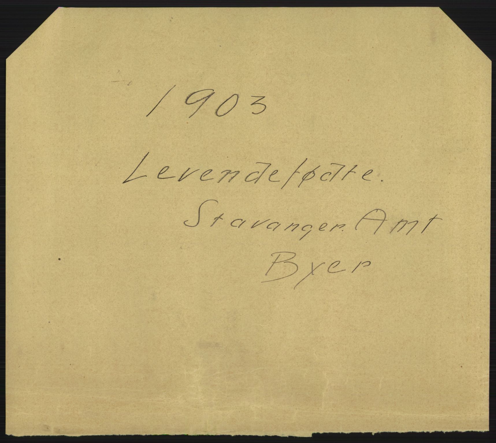 Statistisk sentralbyrå, Sosiodemografiske emner, Befolkning, AV/RA-S-2228/D/Df/Dfa/Dfaa/L0012: Stavanger amt: Fødte, gifte, døde, 1903, p. 295