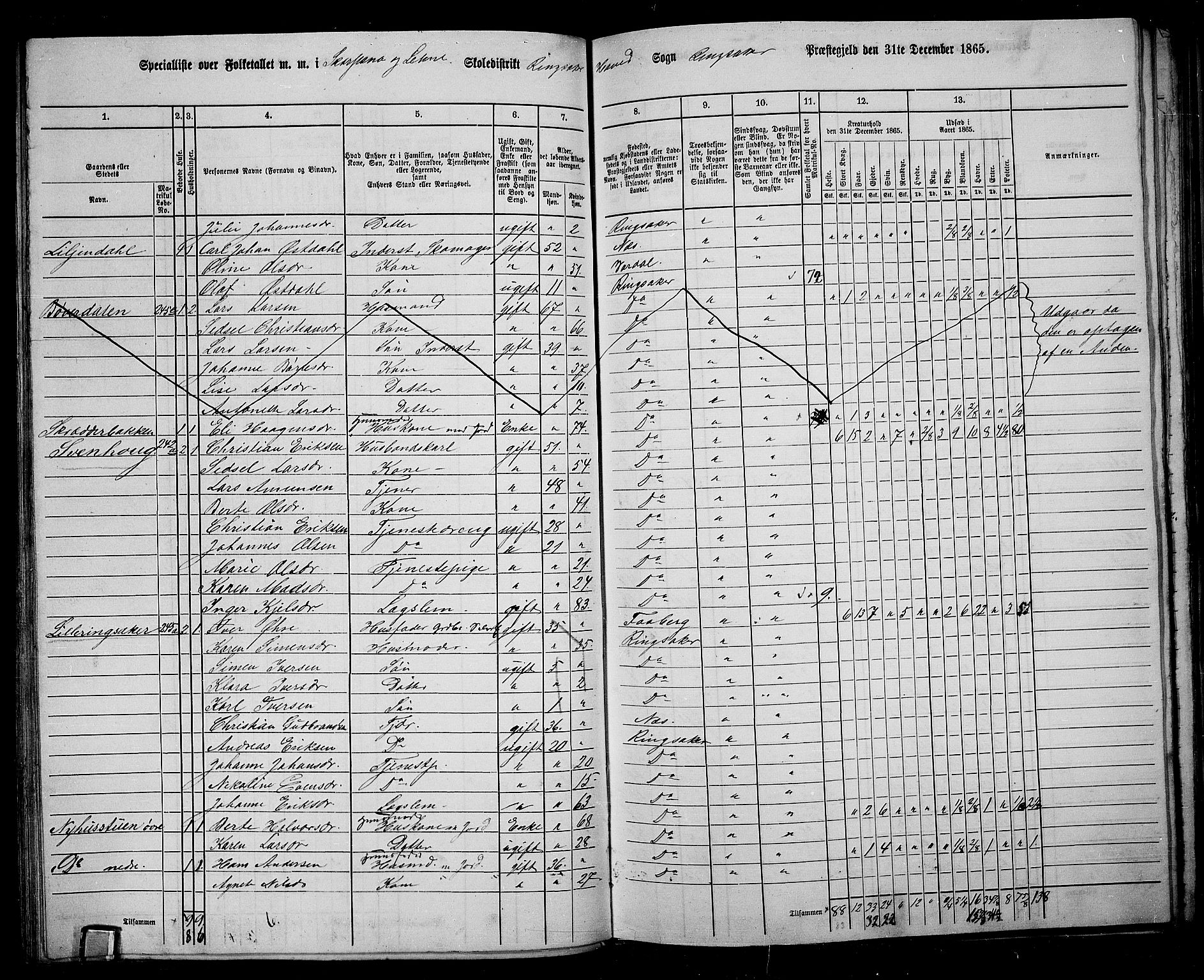 RA, 1865 census for Ringsaker, 1865, p. 131