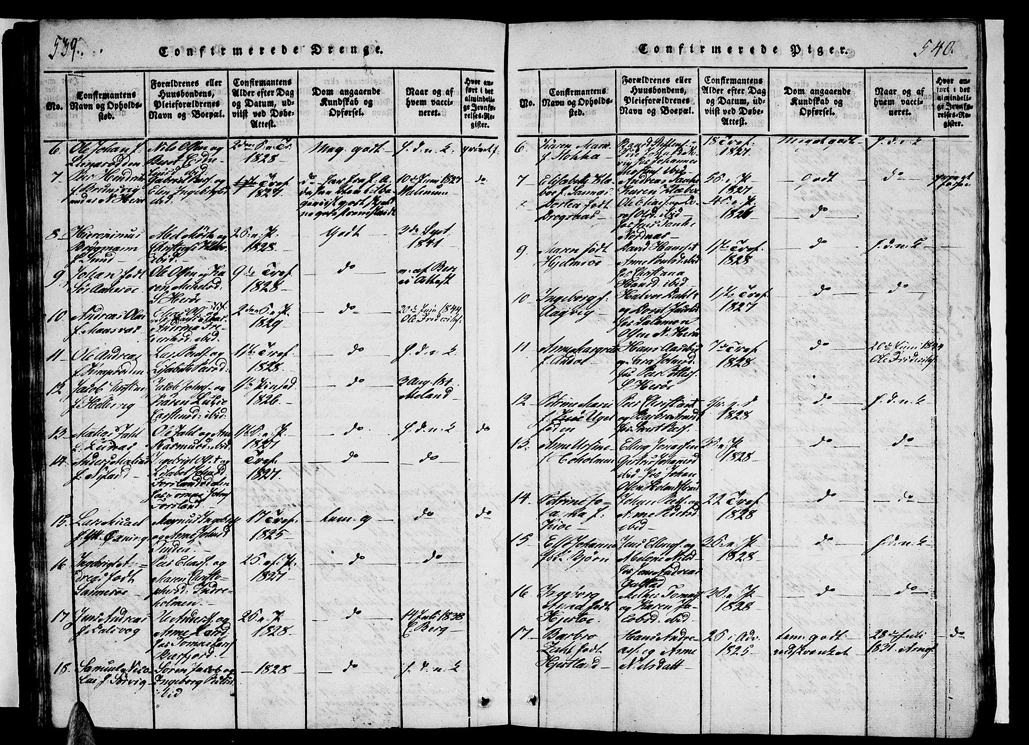 Ministerialprotokoller, klokkerbøker og fødselsregistre - Nordland, AV/SAT-A-1459/834/L0510: Parish register (copy) no. 834C01, 1820-1847, p. 539-540