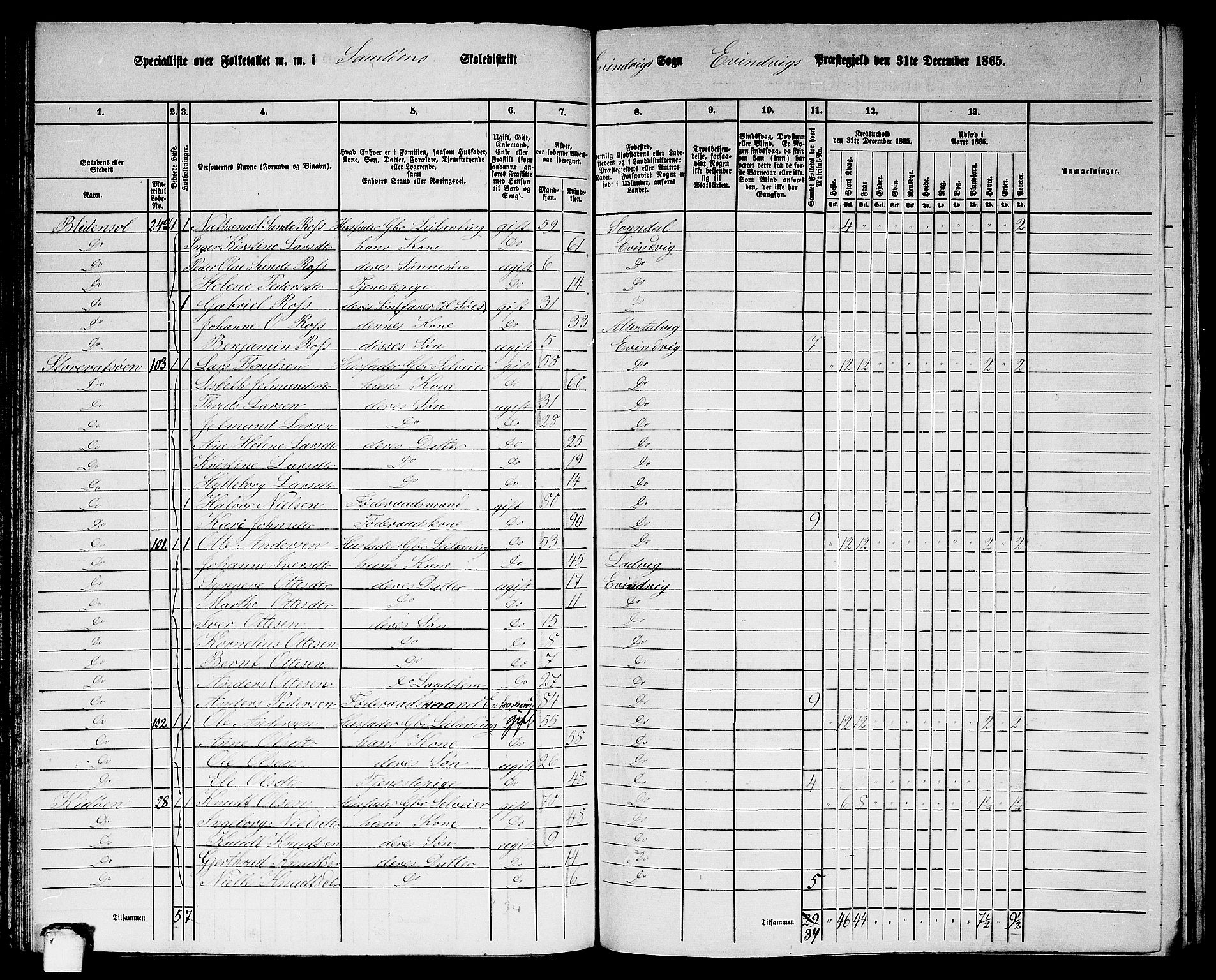 RA, 1865 census for Eivindvik, 1865, p. 96